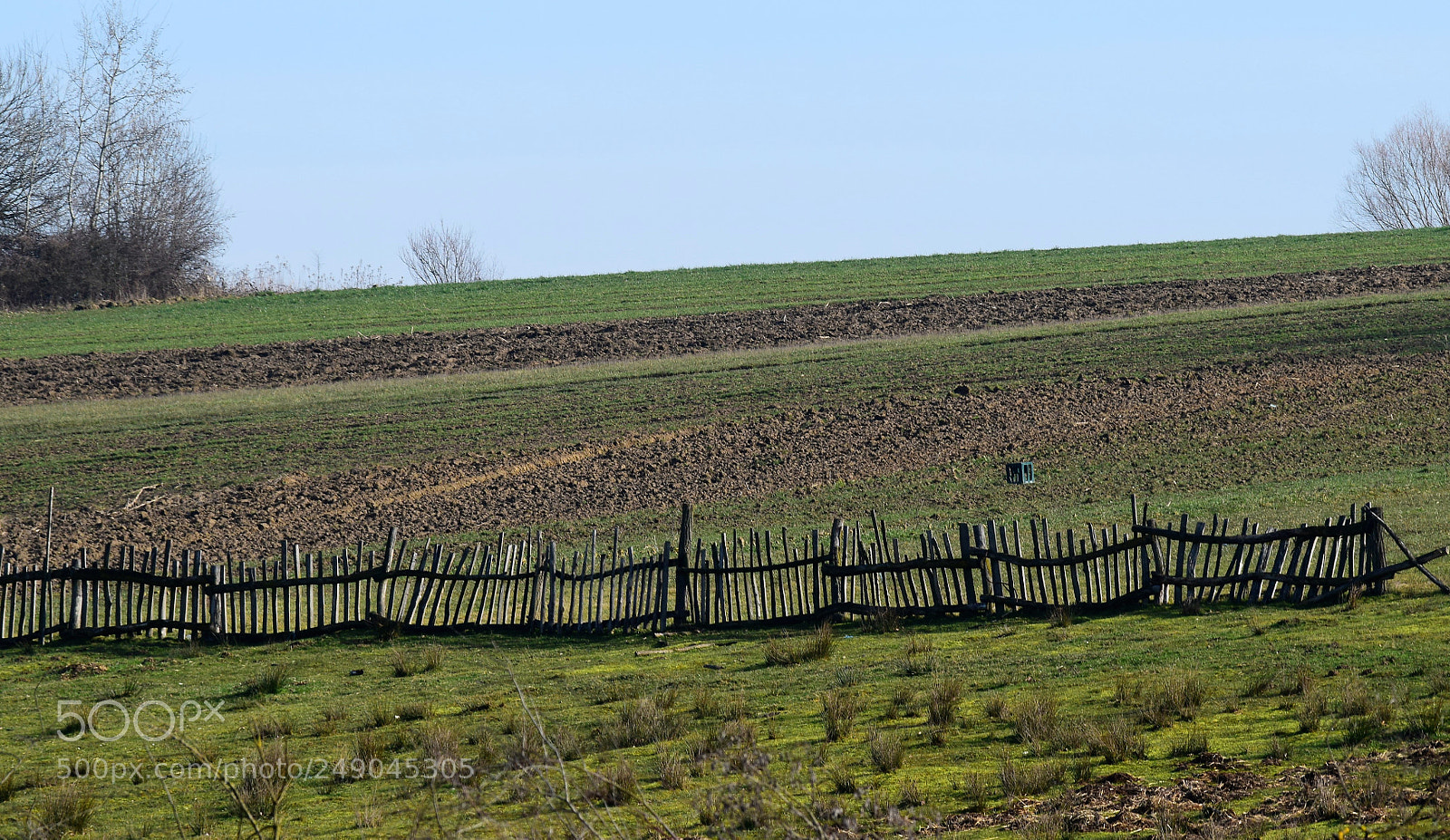 Nikon D3300 sample photo. Fence photography