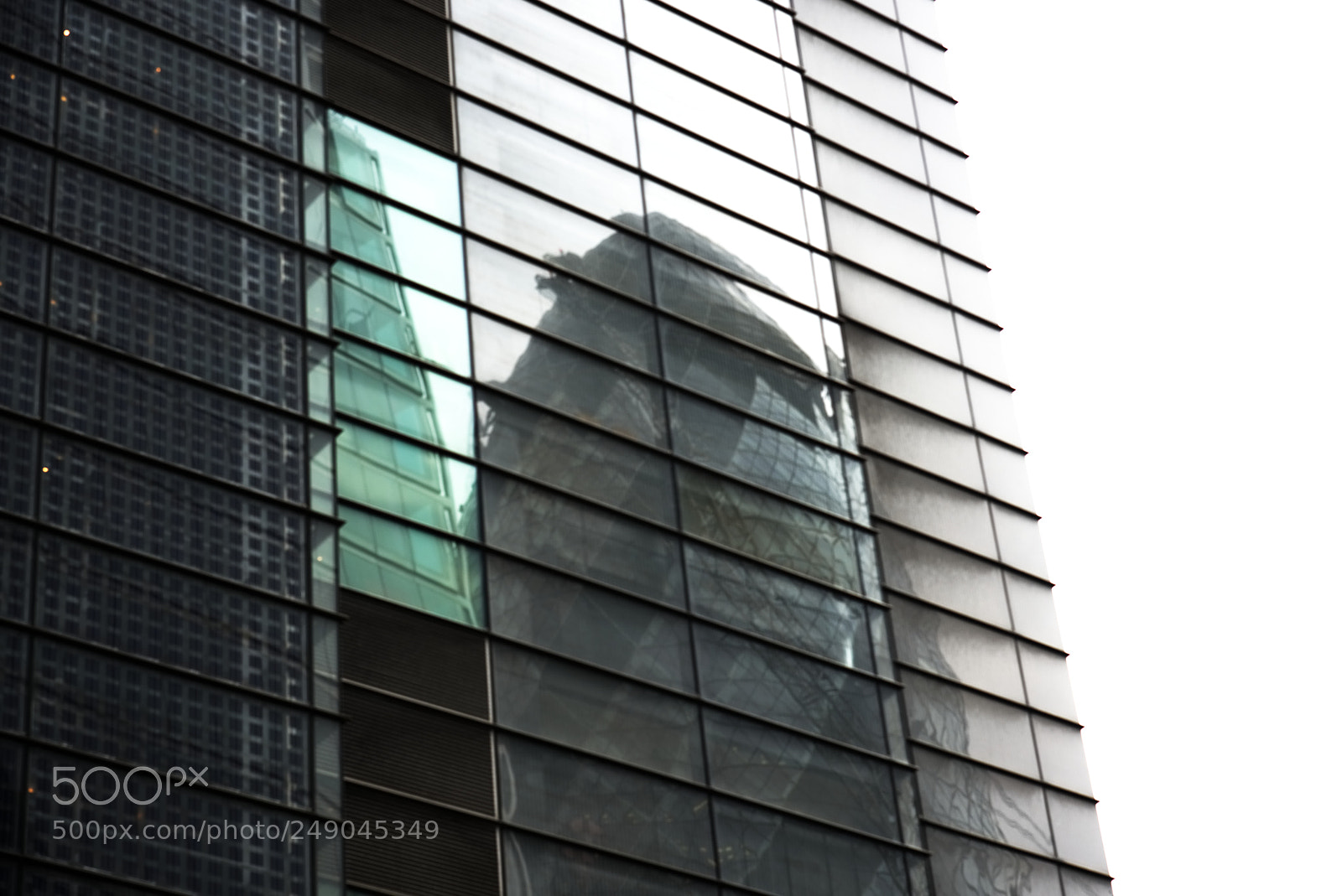 Nikon D810 sample photo. Gherkin reflection photography
