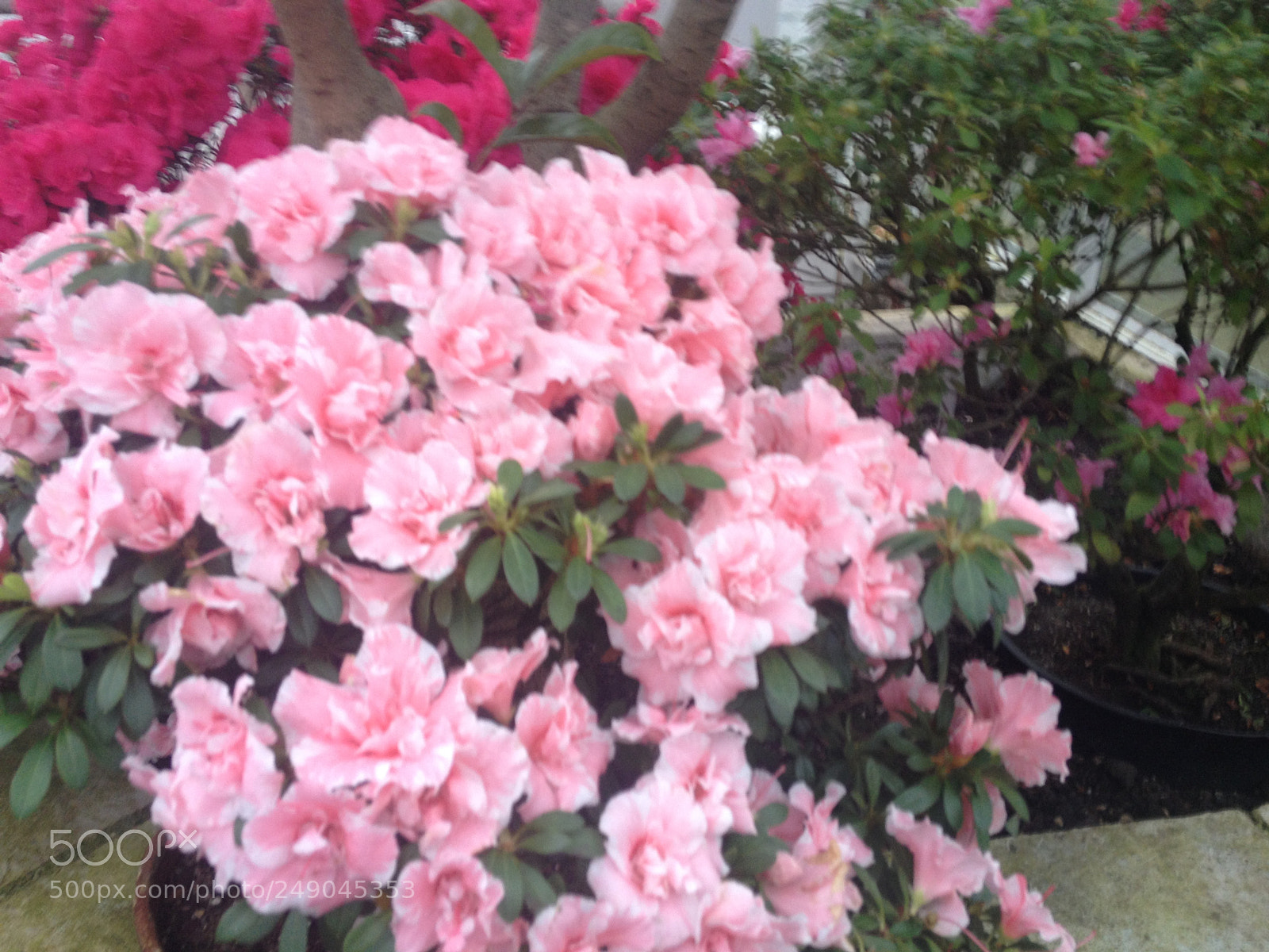 Apple iPhone 4S sample photo. Untitled photography