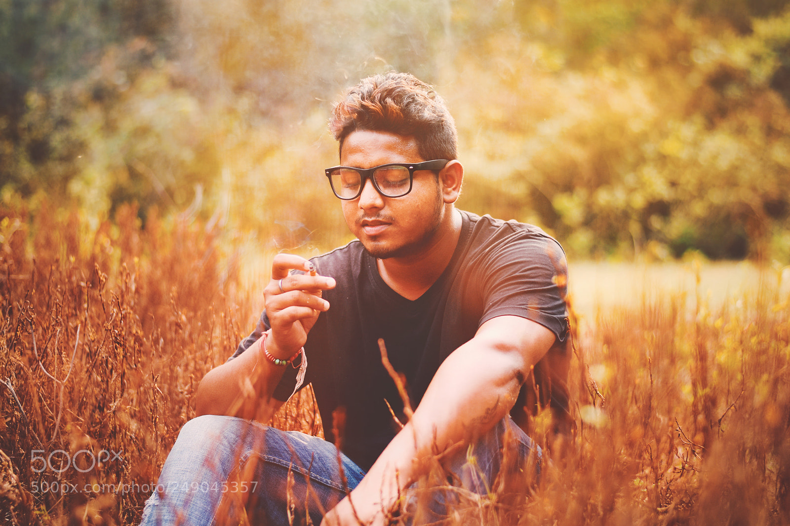 Nikon D7200 sample photo. In the woods of photography