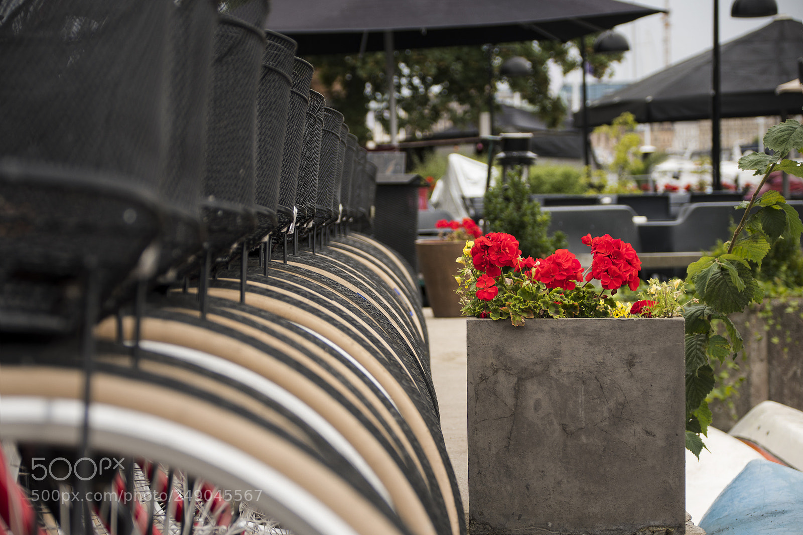 Nikon D500 sample photo. Tyre-line photography