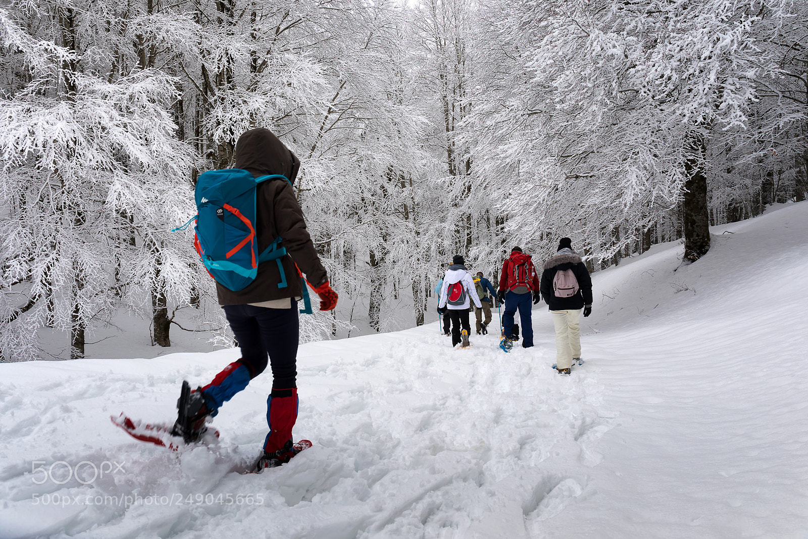 Canon EOS 5D Mark IV sample photo. Snowshoe hike on the photography