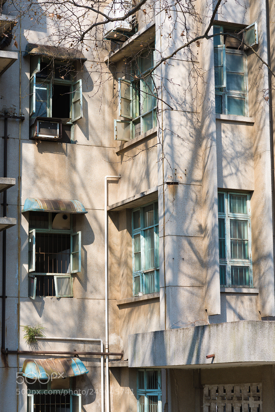Nikon D810 sample photo. 早 photography