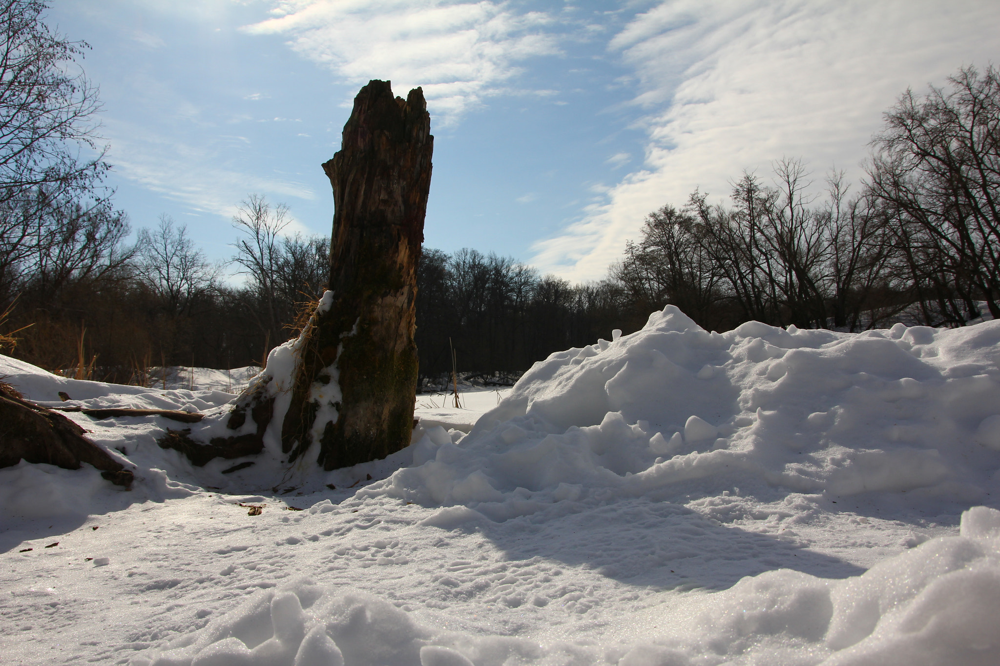 Canon EOS 60D sample photo. Img photography