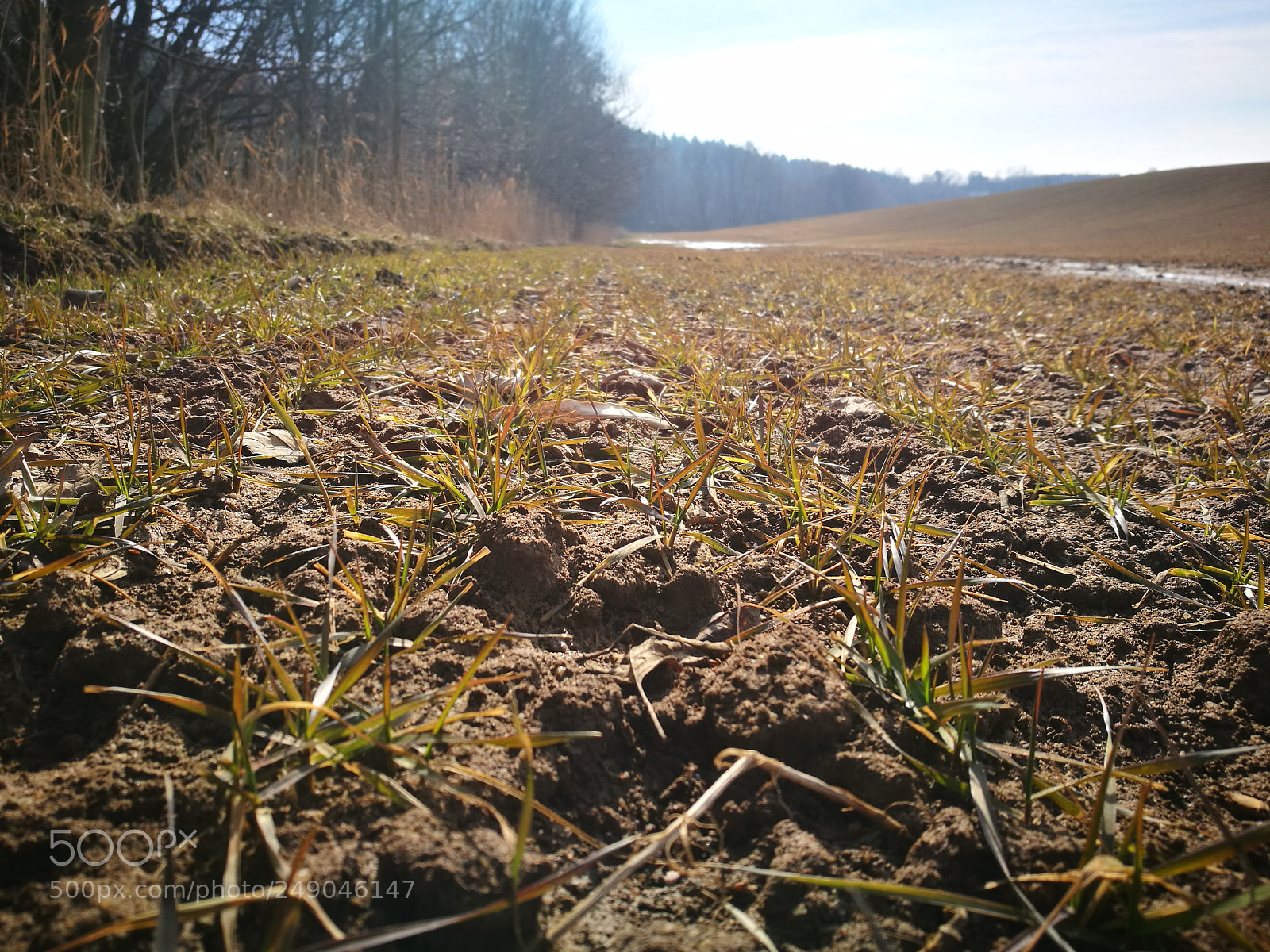 HUAWEI P9 sample photo. Jaro už je tu photography