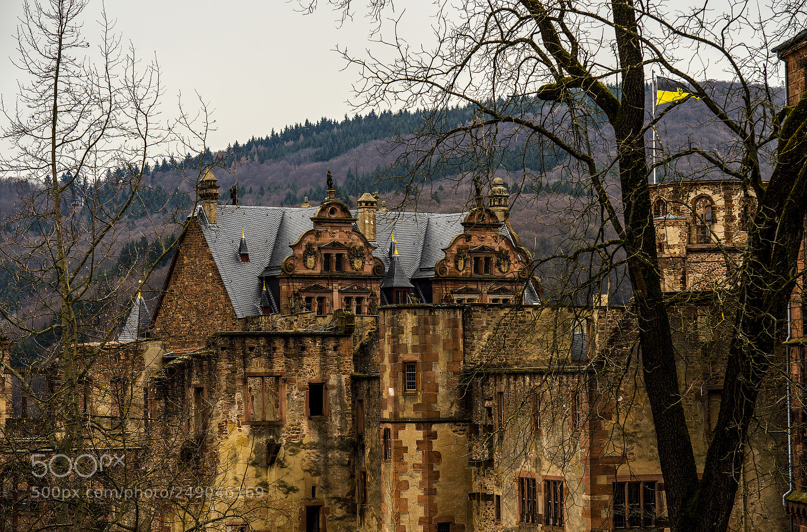 Nikon D4 sample photo. Heidelberg castle - 1 photography