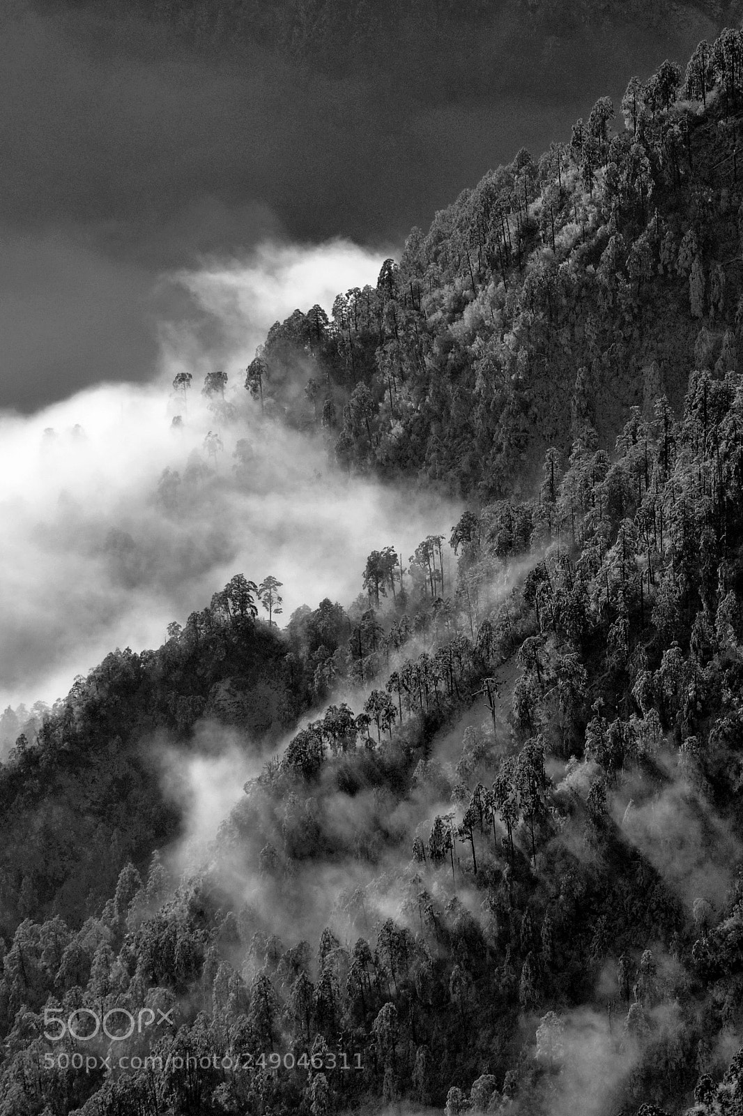 Nikon D90 sample photo. Untitled photography