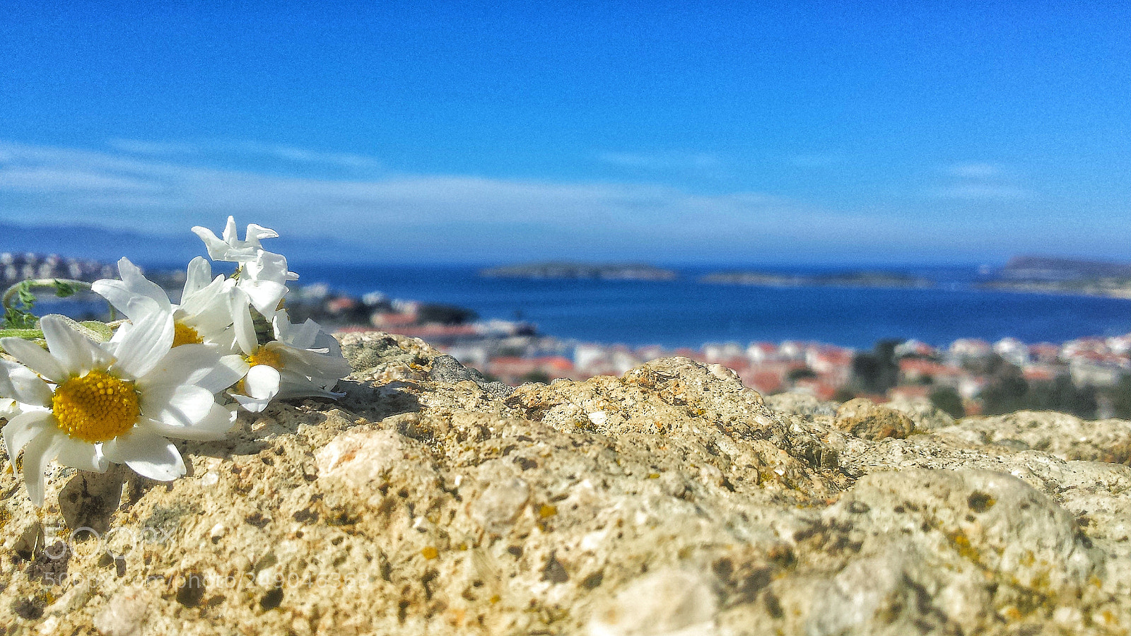 Samsung Galaxy S4 sample photo. Untitled photography
