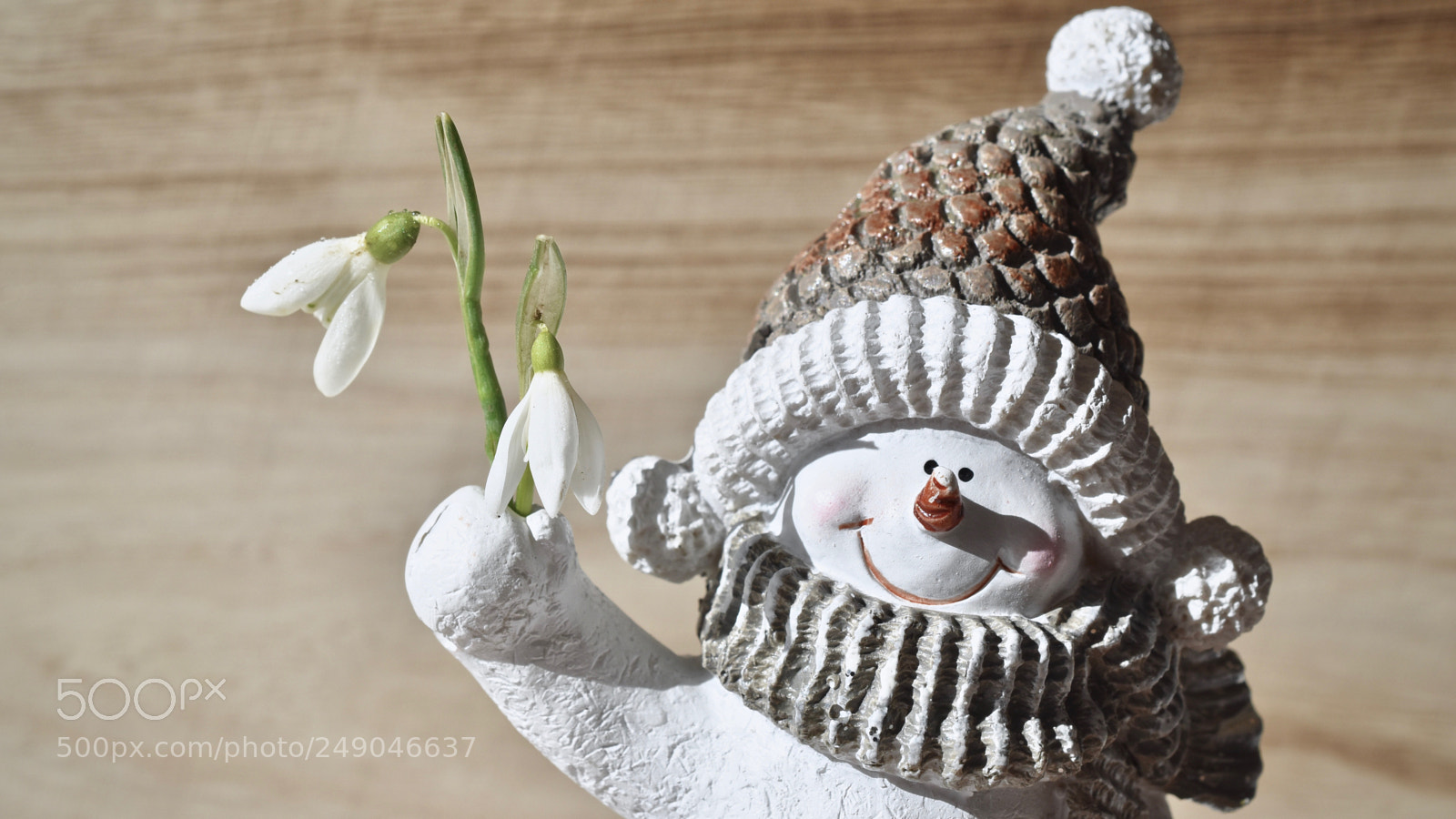 Nikon D5600 sample photo. Hello!! photography