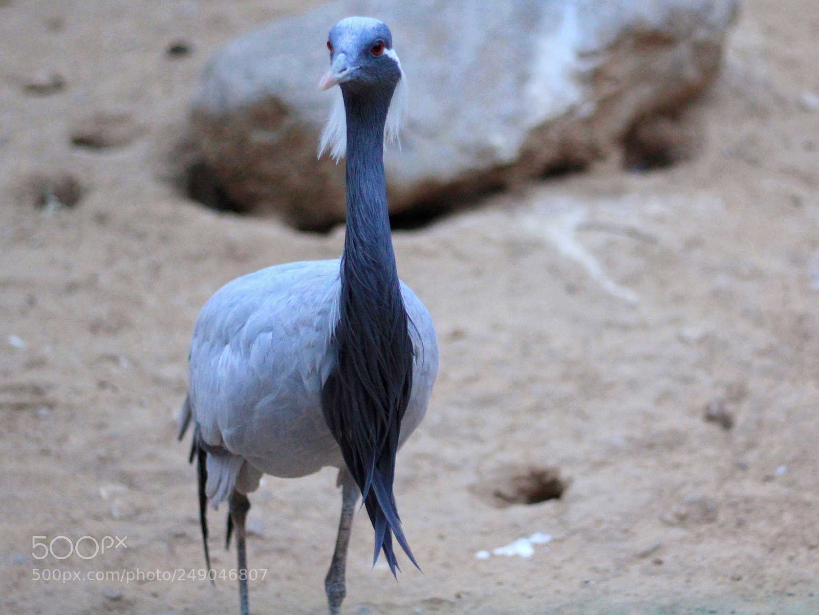Canon EOS 60D sample photo. Untitled photography
