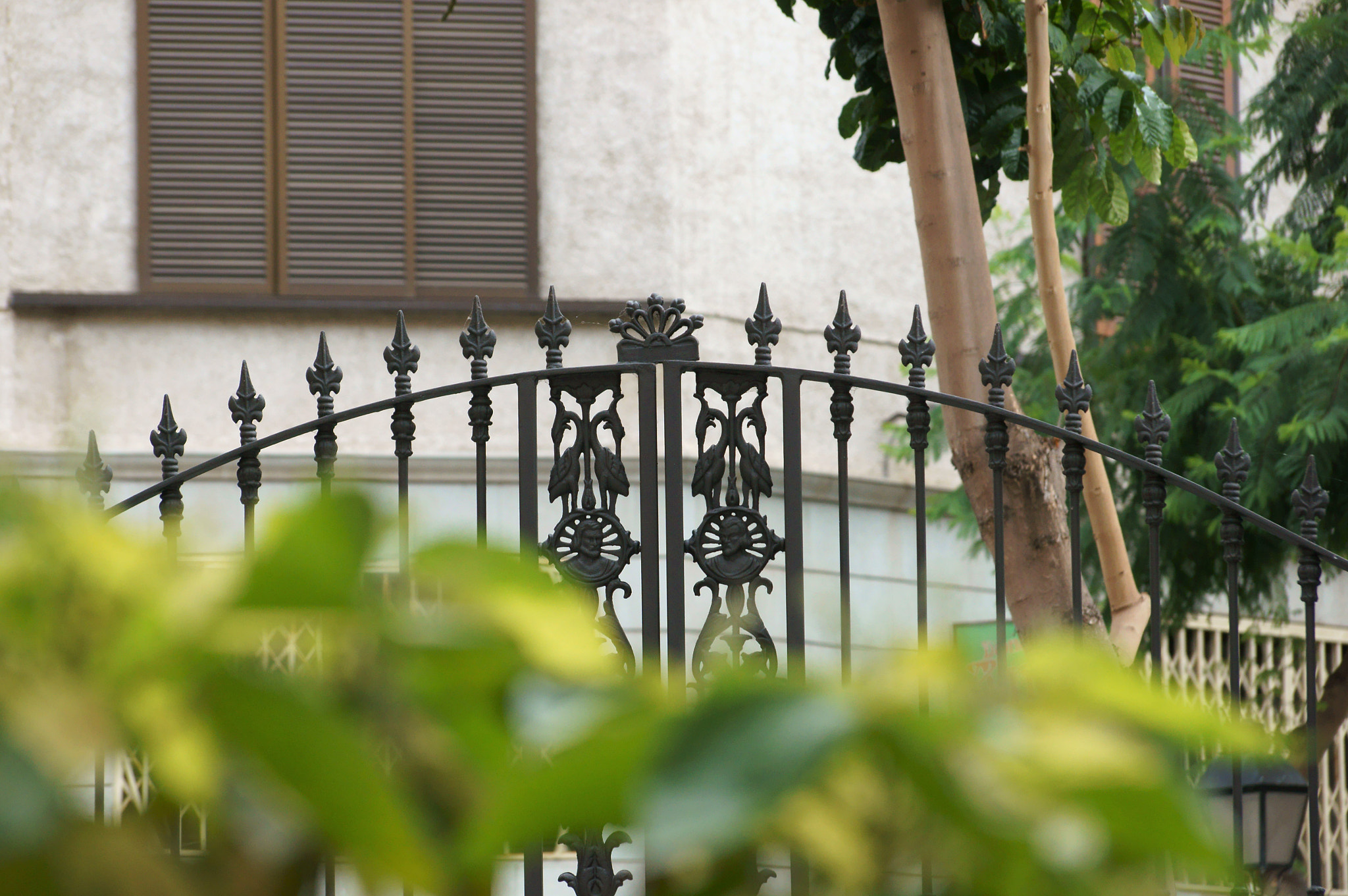 Sony DT 18-135mm F3.5-5.6 SAM sample photo. Fence photography