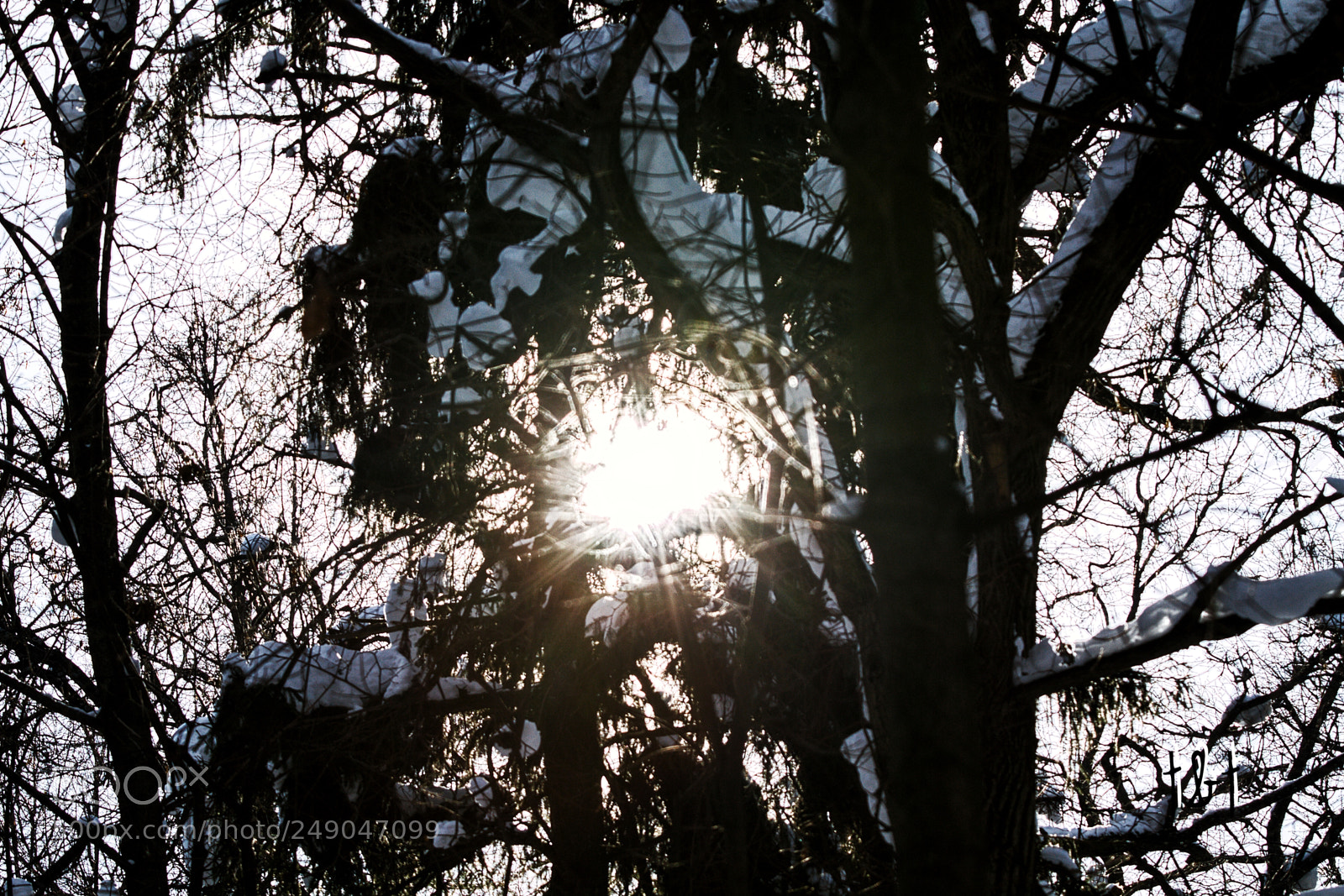 Canon EOS 7D sample photo. Untitled photography