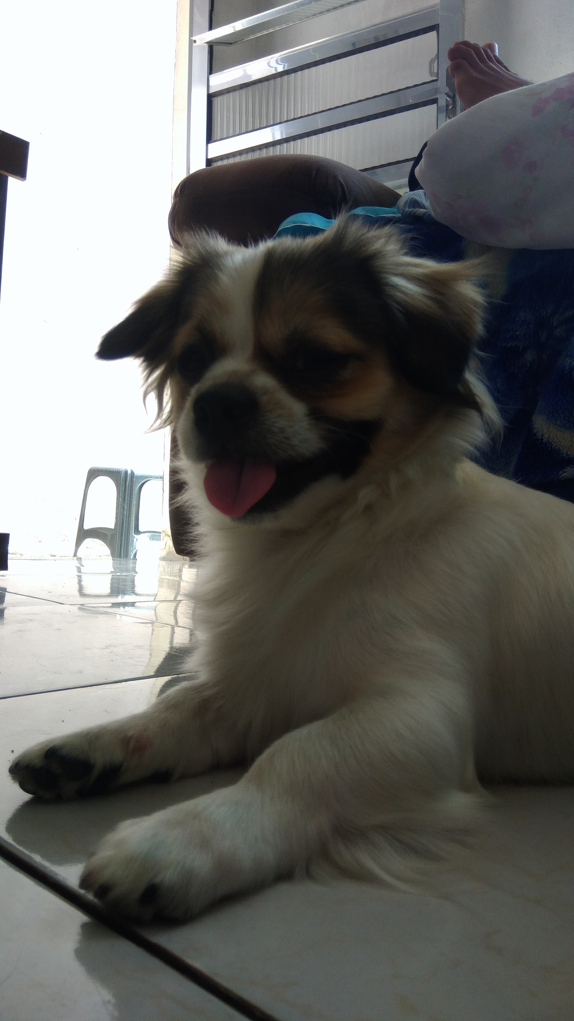 ASUS ZenFone 3 Max (ZC553KL) sample photo