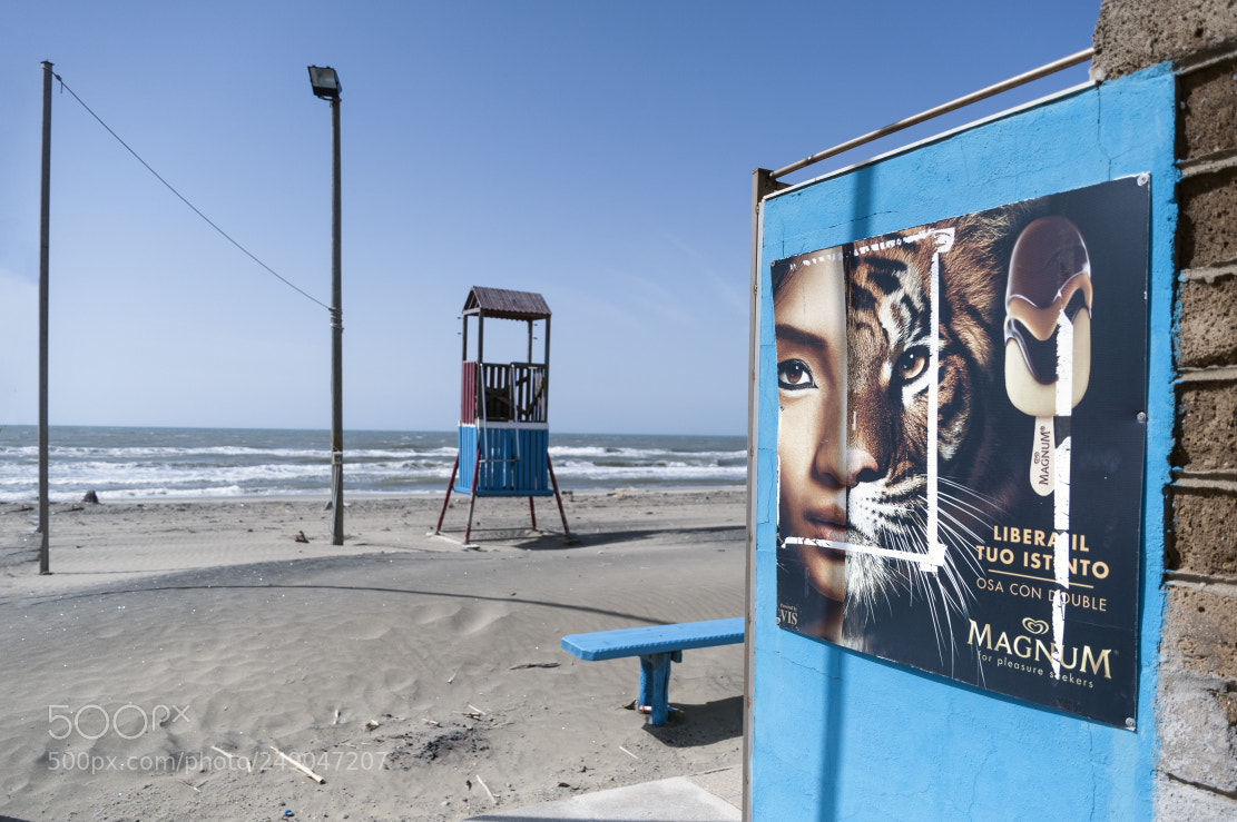 Nikon D700 sample photo. Spiaggia d'inverno photography