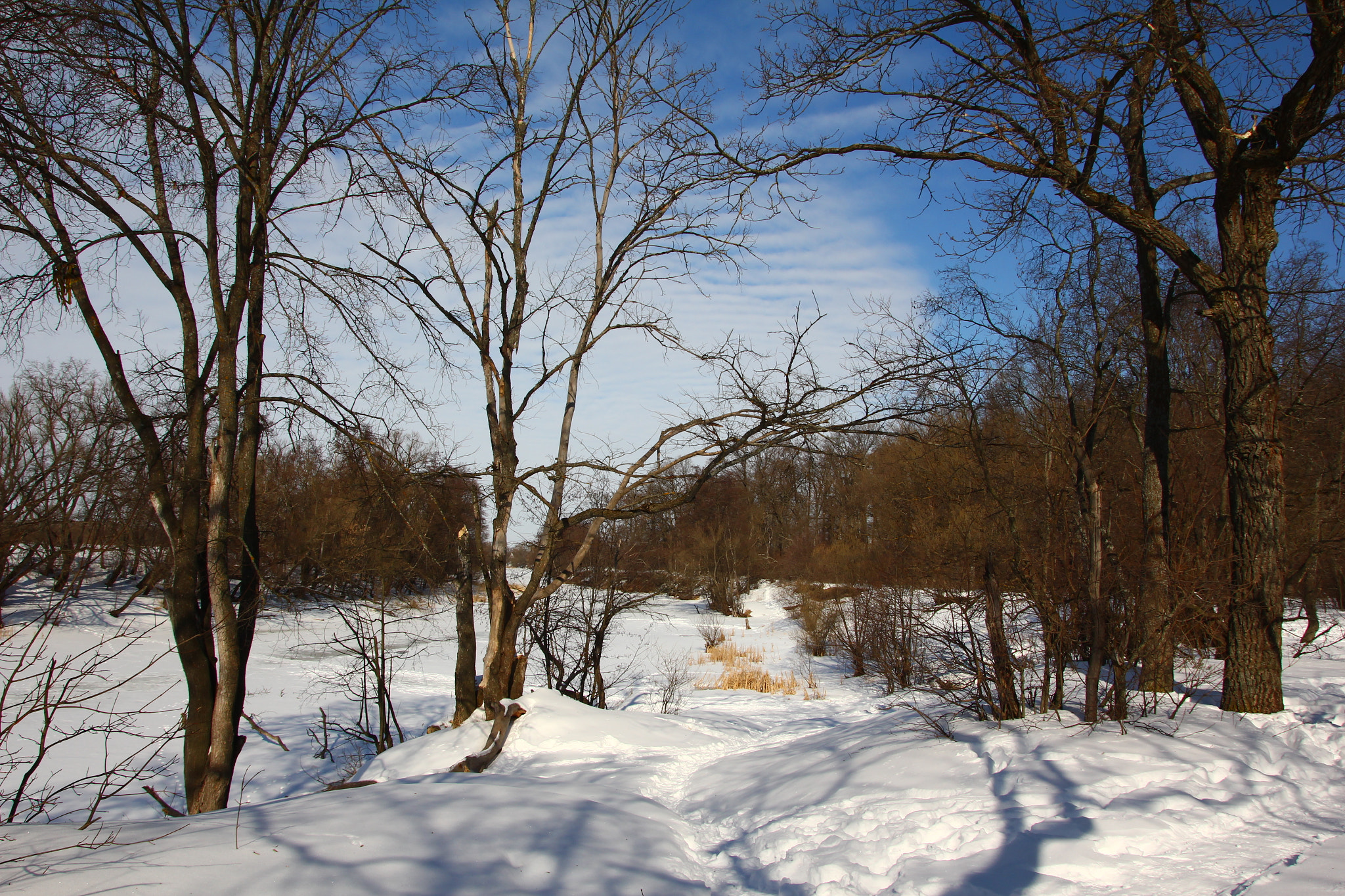 Canon EOS 60D sample photo. Img photography