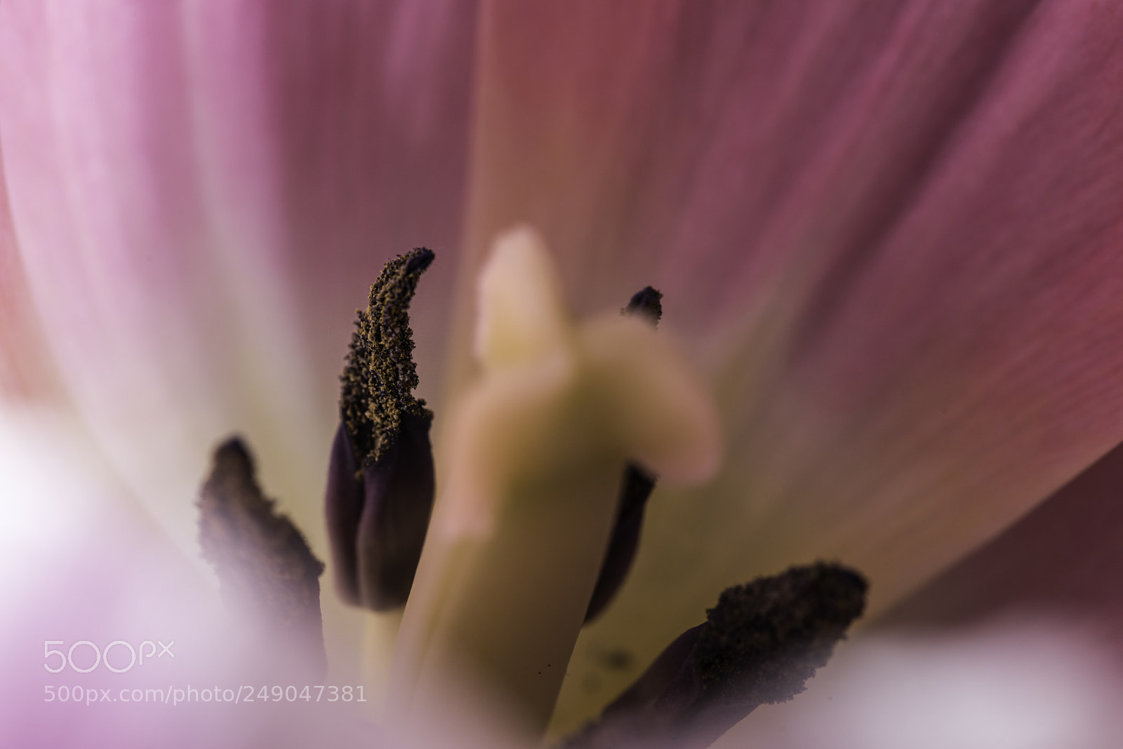Pentax K-1 sample photo. Inside photography