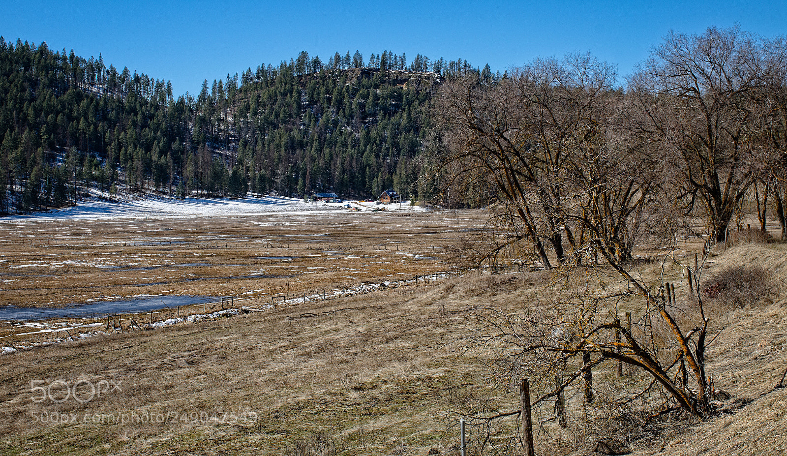 Nikon D7000 sample photo. Winter fading! photography