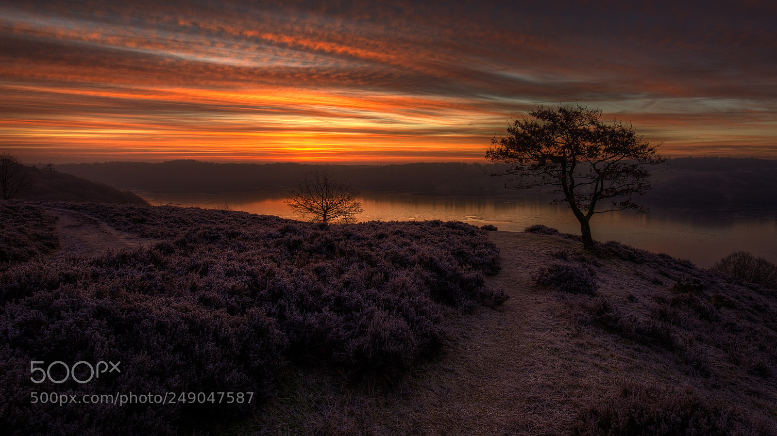 Canon EOS 5D Mark IV sample photo. Divine morning photography