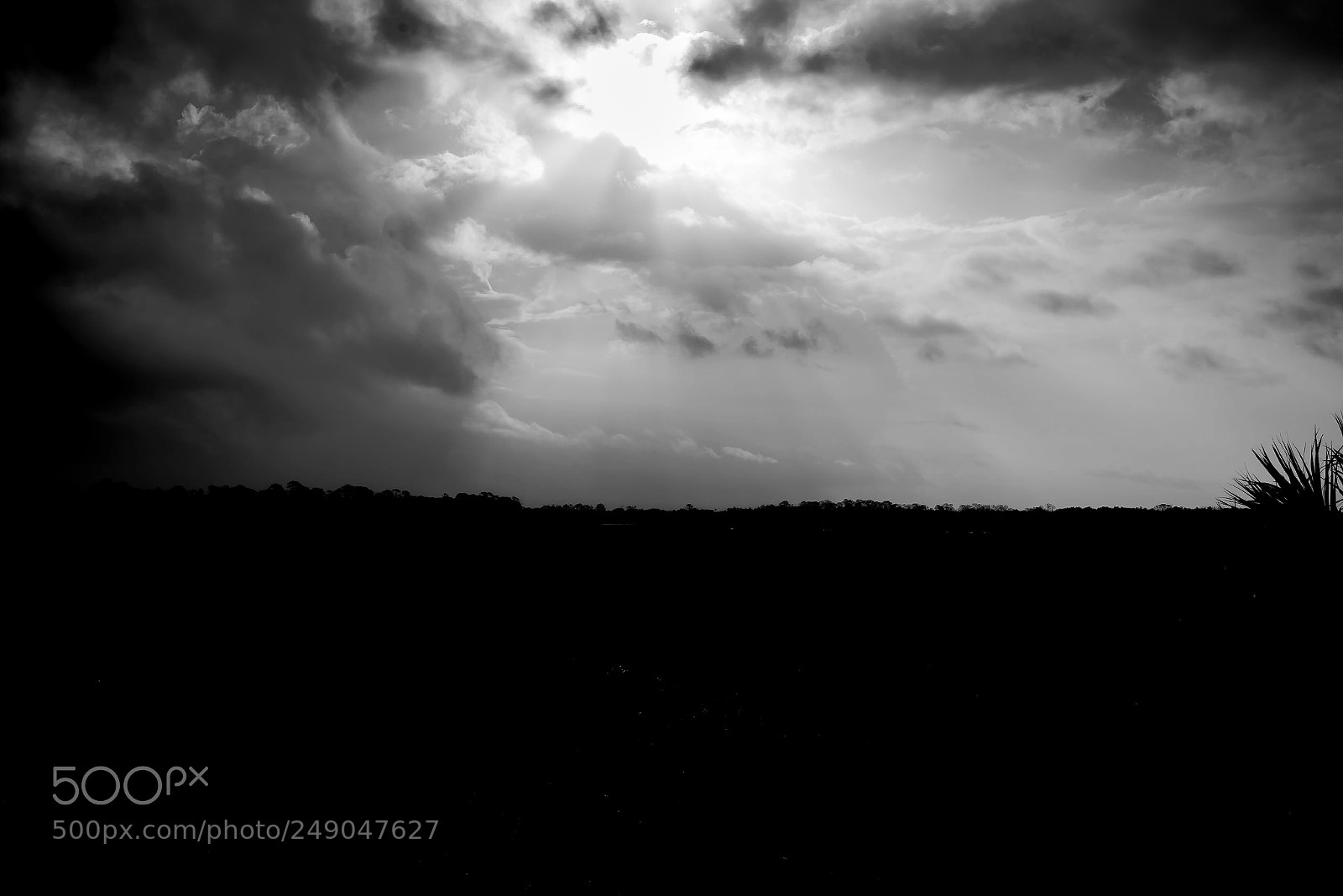 Nikon D5500 sample photo. Merritt island-noir photography