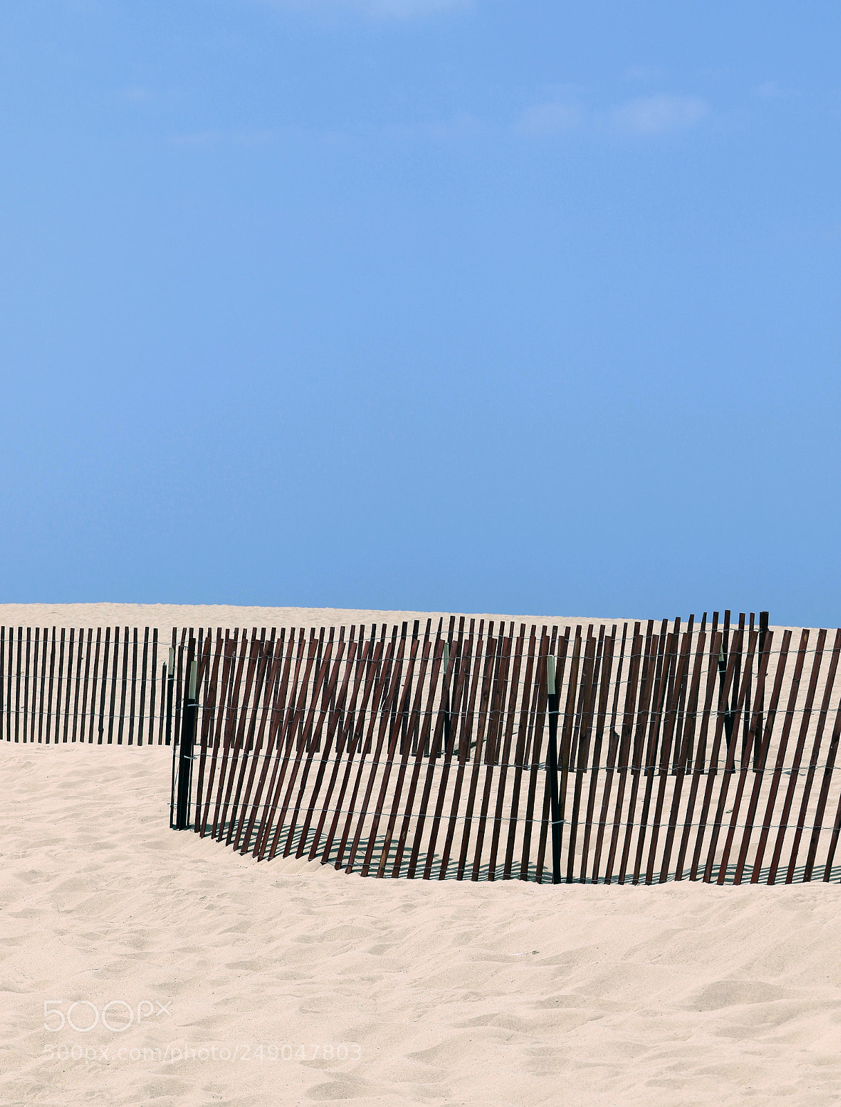 Canon EOS 7D Mark II sample photo. Fences photography