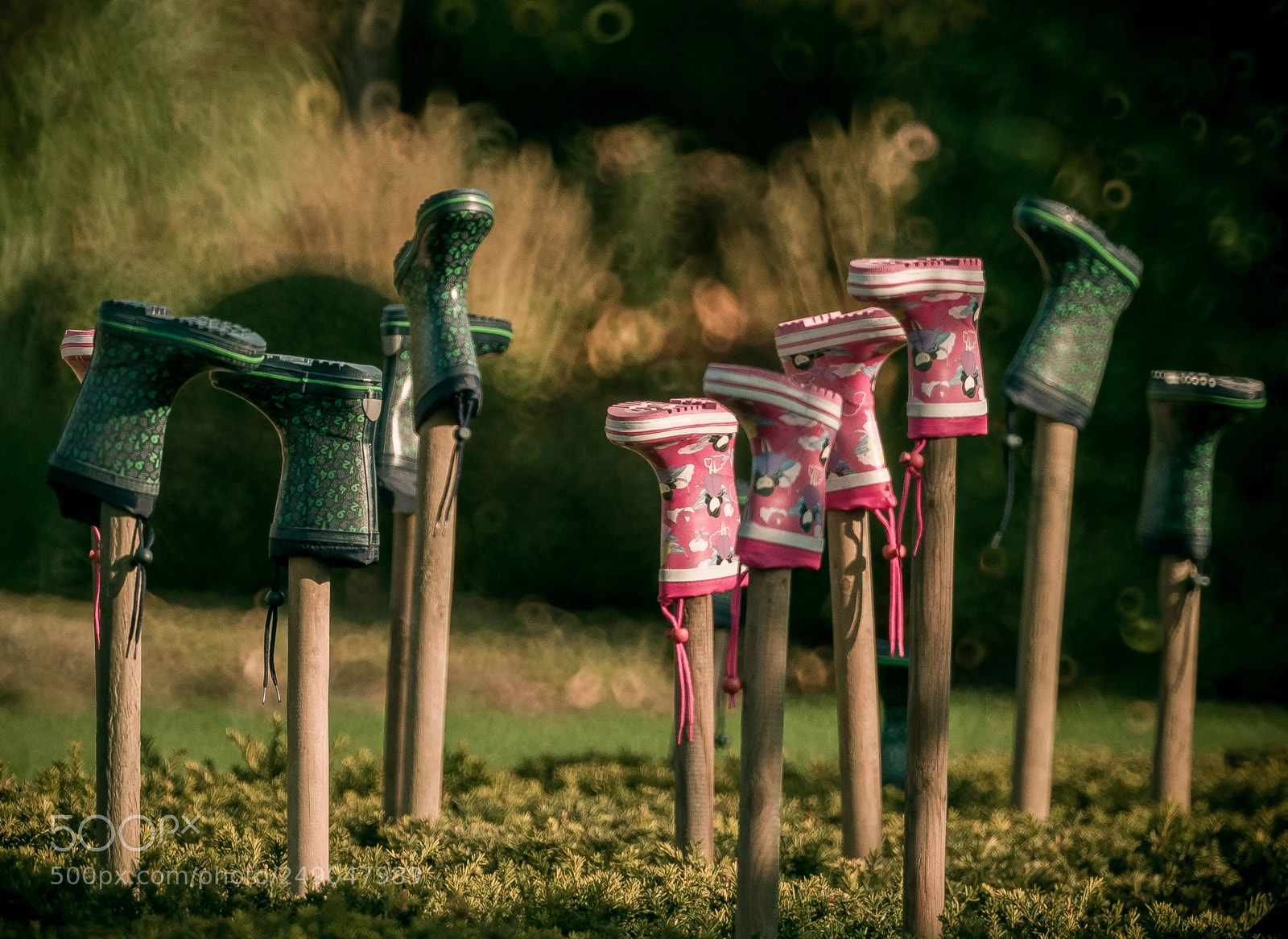 Nikon D300 sample photo. Garden photography