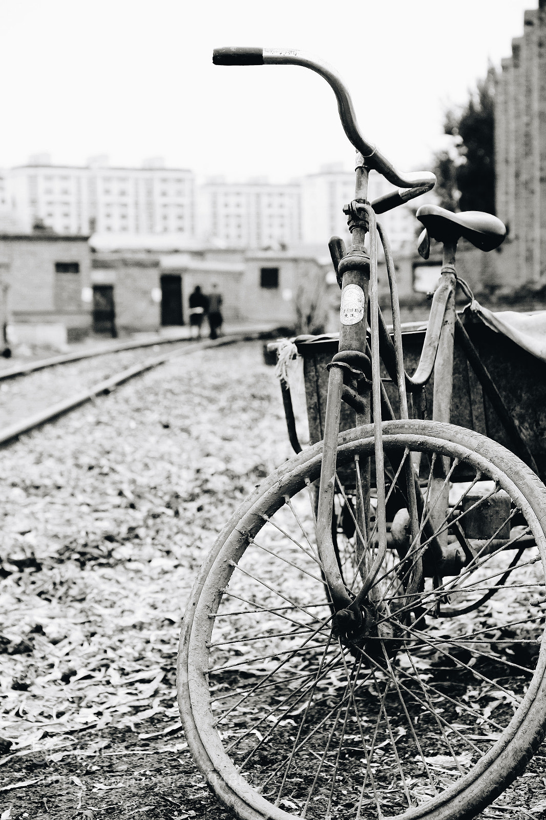 Canon EOS 600D (Rebel EOS T3i / EOS Kiss X5) sample photo. The old time photography