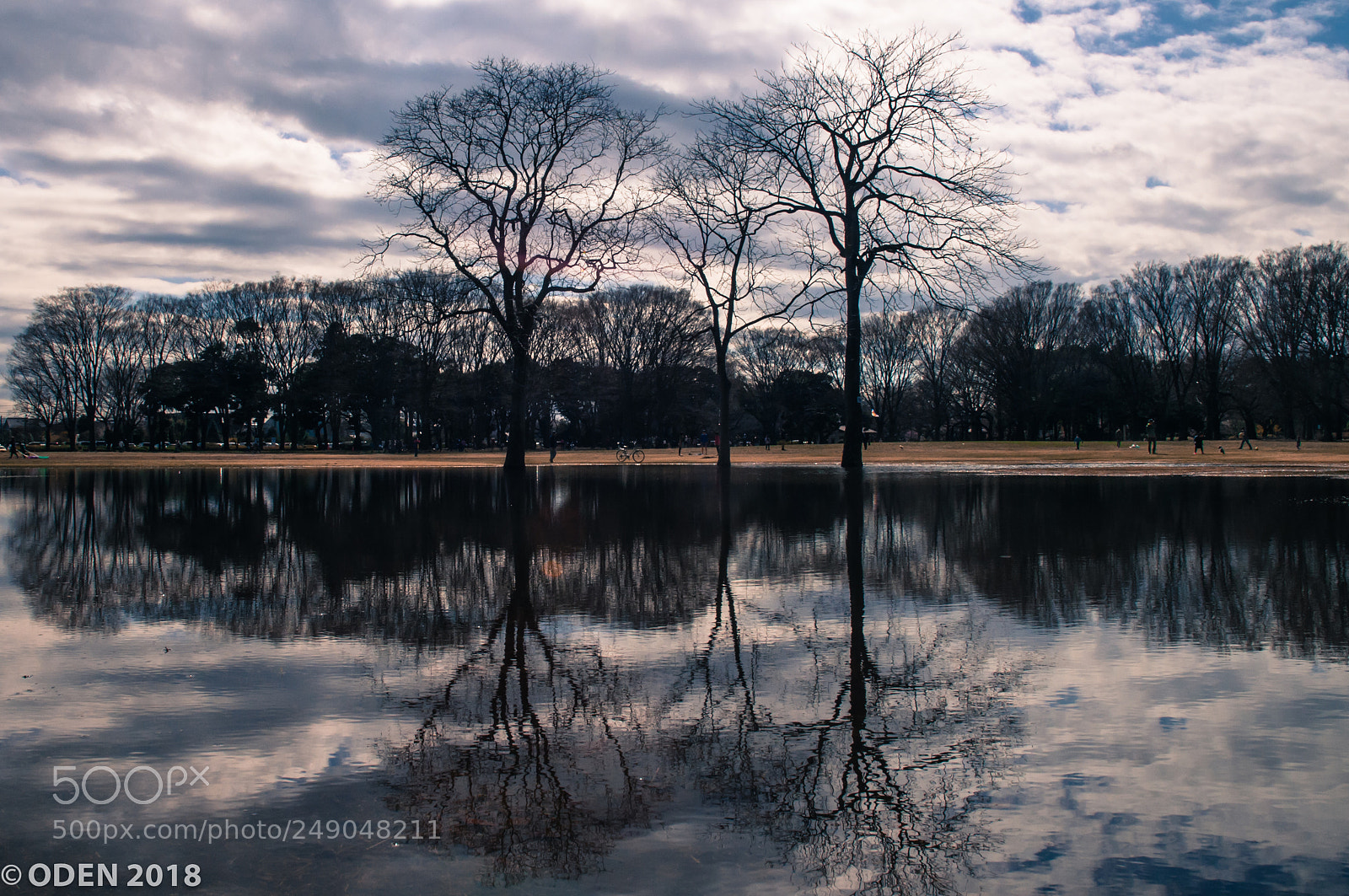 Nikon D300 sample photo. Reflection photography