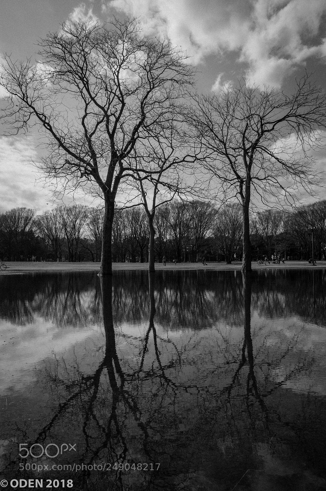 Nikon D300 sample photo. Reflection bw photography