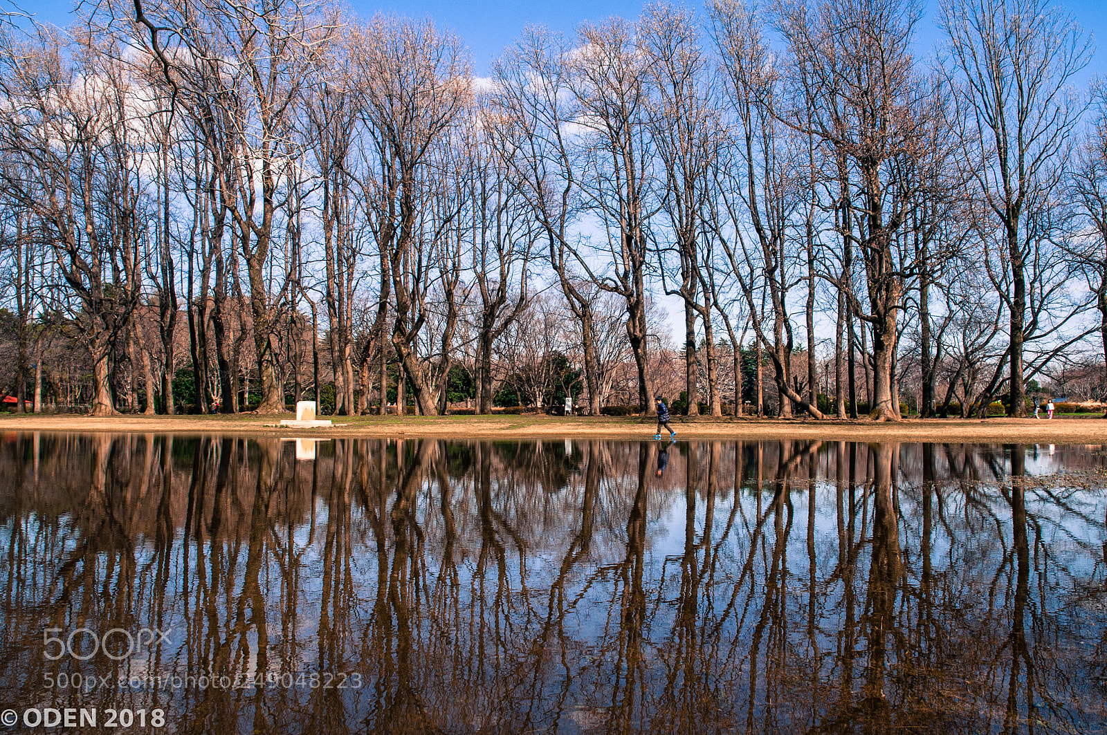 Nikon D300 sample photo. Standing water reflection photography