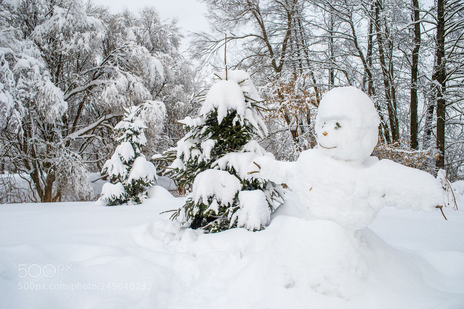 Nikon Df sample photo. Bb2_7458-2.jpg photography