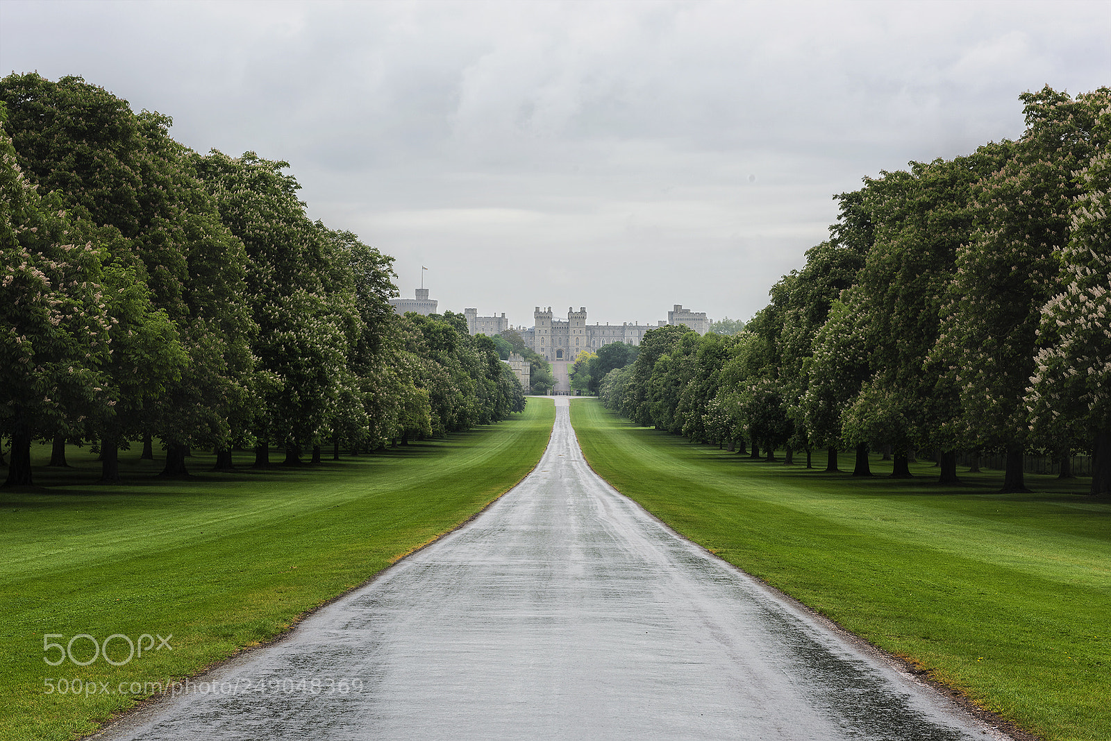 Nikon D810 sample photo. A wet windsor day photography