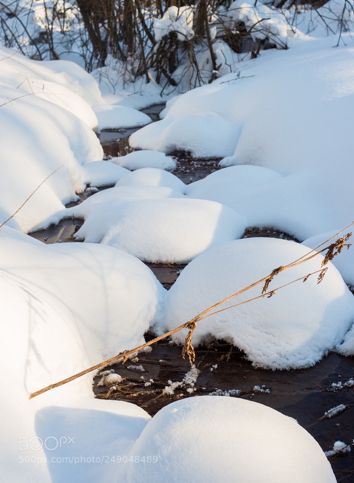Nikon D800 sample photo. _dsc1875-4.jpg photography