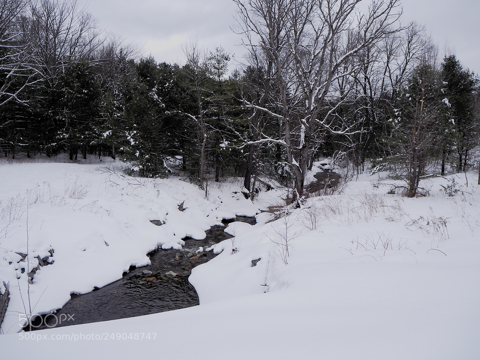 Olympus OM-D E-M10 II sample photo. Winter camping photography