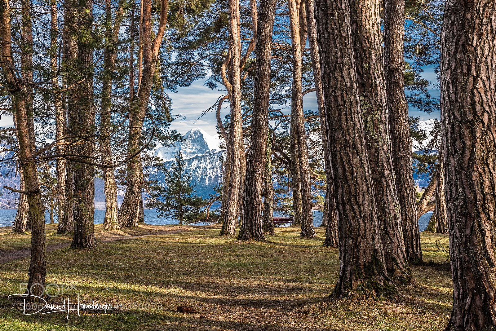 Nikon D810 sample photo. Bearbeitet kopie photography