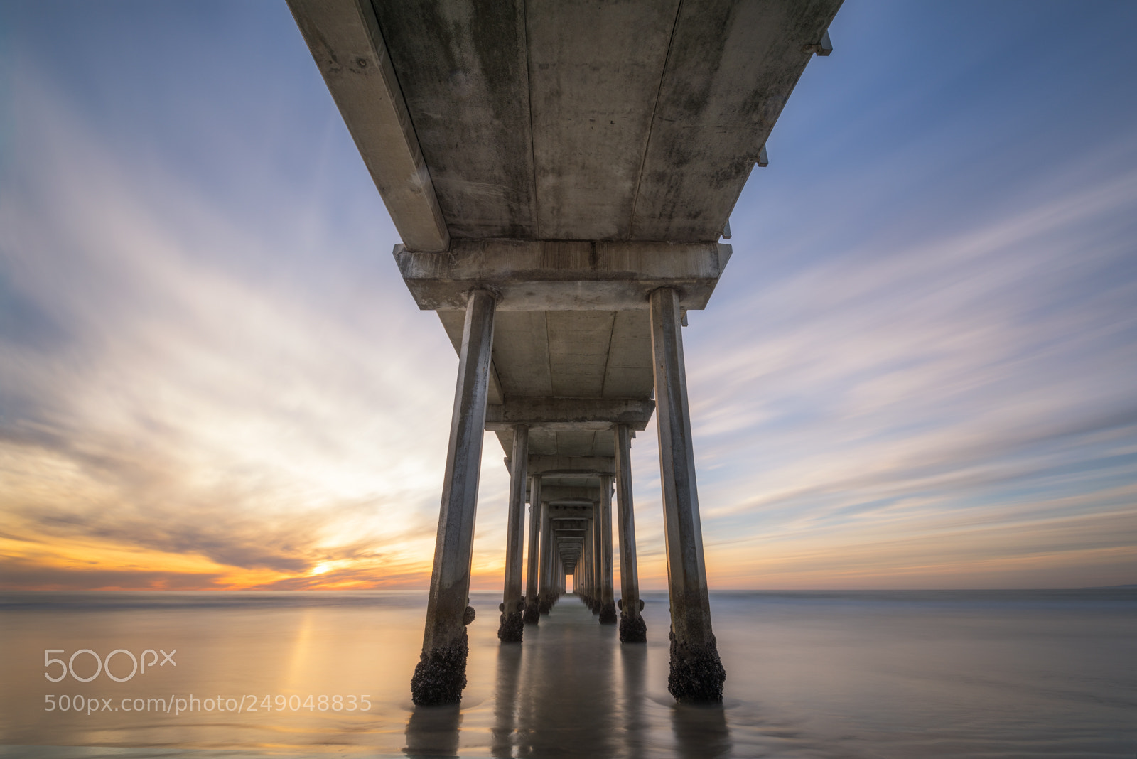Nikon D810 sample photo. Under scripps pier photography