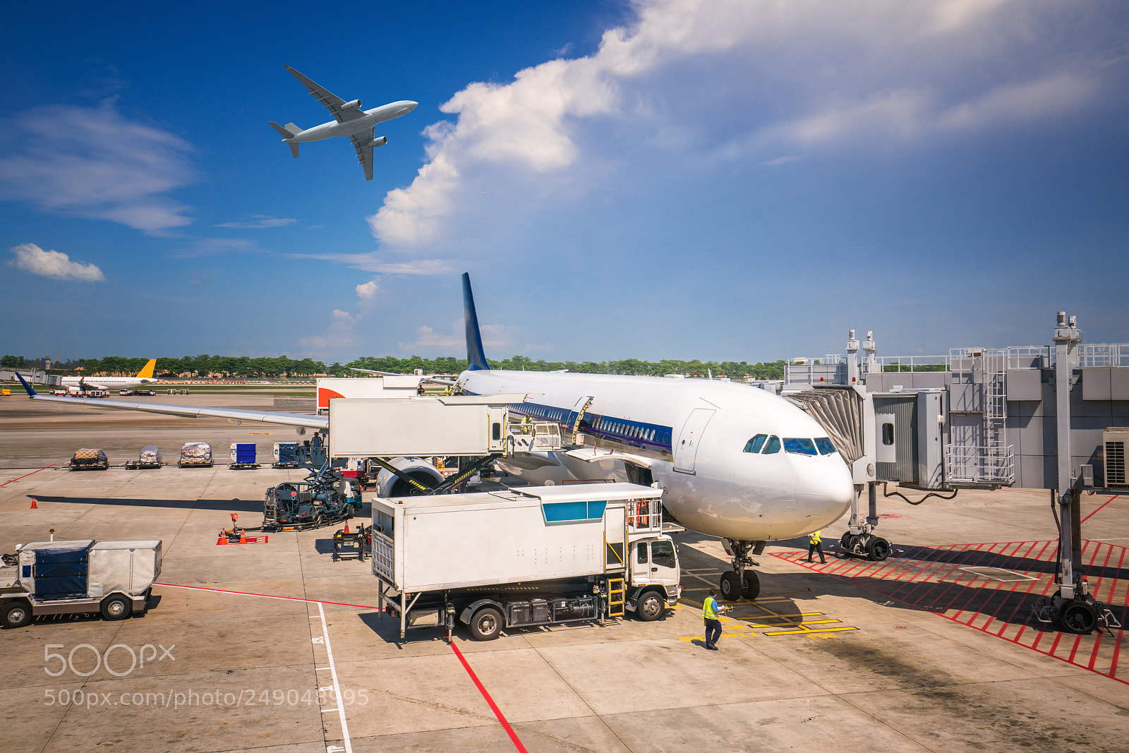 Sony a7R II sample photo. Low cost airline and photography