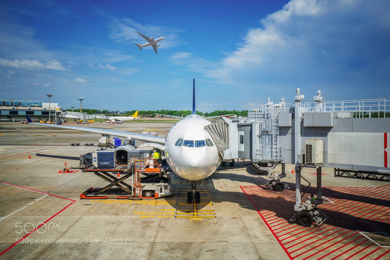 Sony a7R II sample photo. Low cost airline and photography