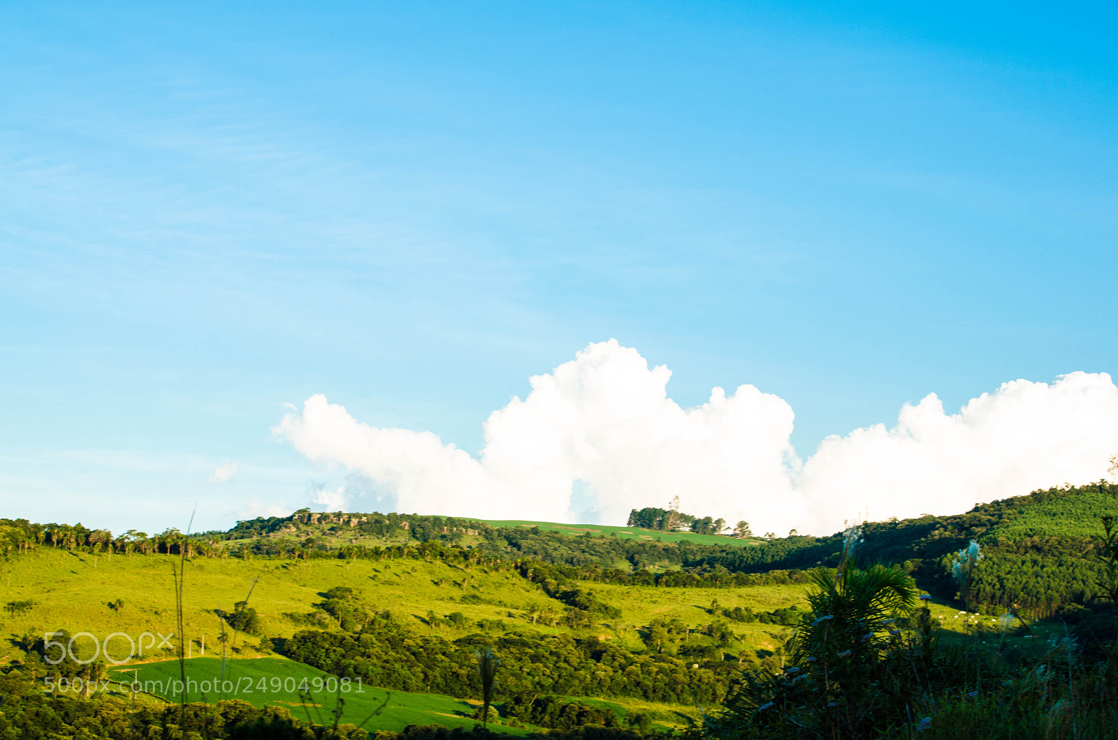 Nikon D5100 sample photo. Untitled photography