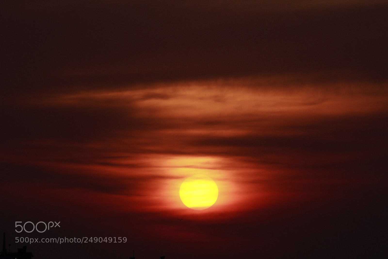 Canon EF-S 55-250mm F4-5.6 IS II sample photo. Mg photography