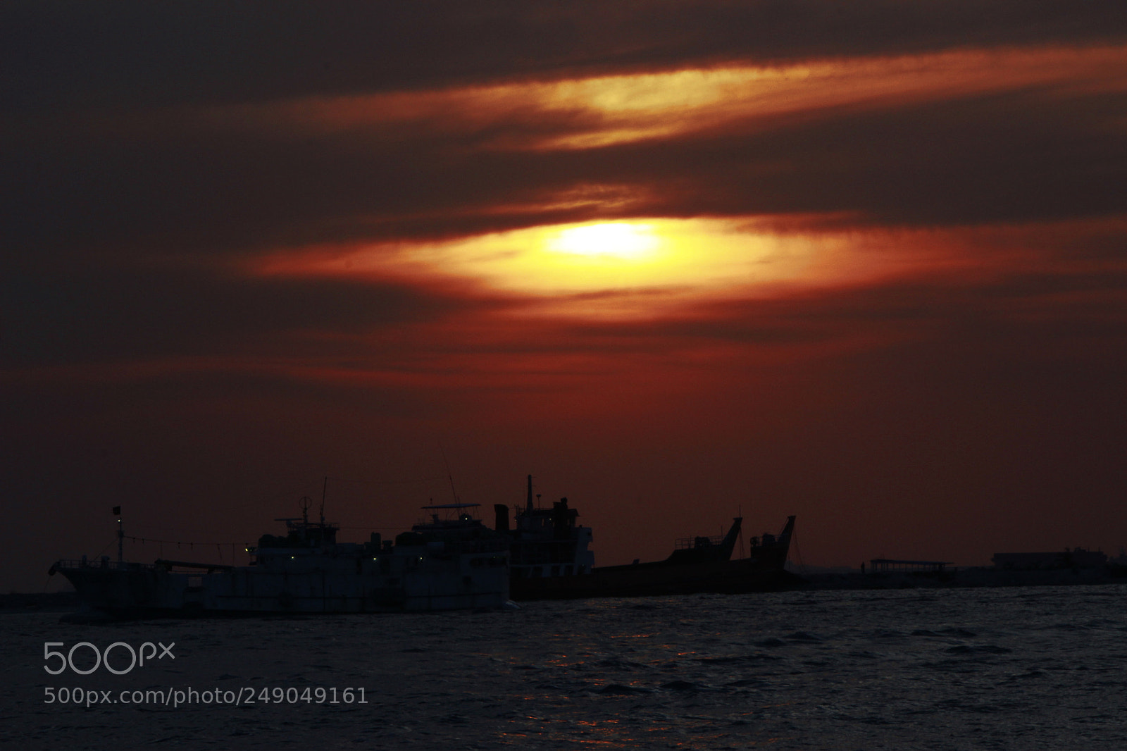 Canon EF-S 55-250mm F4-5.6 IS II sample photo. Mg photography