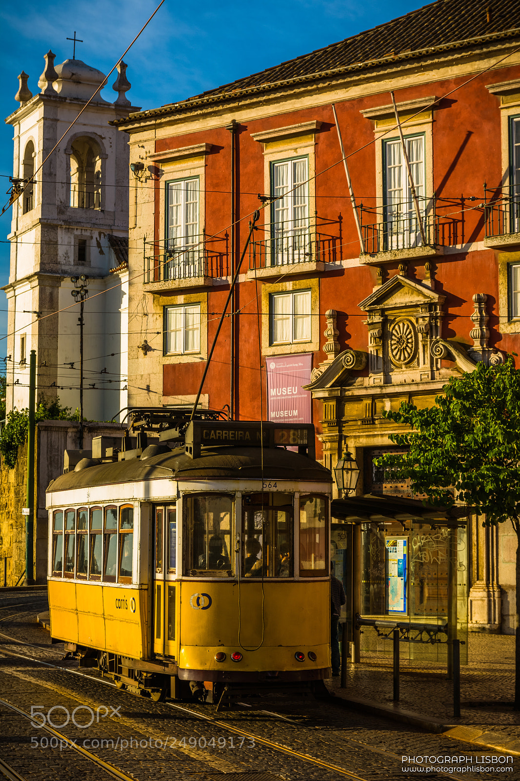 Nikon D7100 sample photo. Bathed by morning light photography