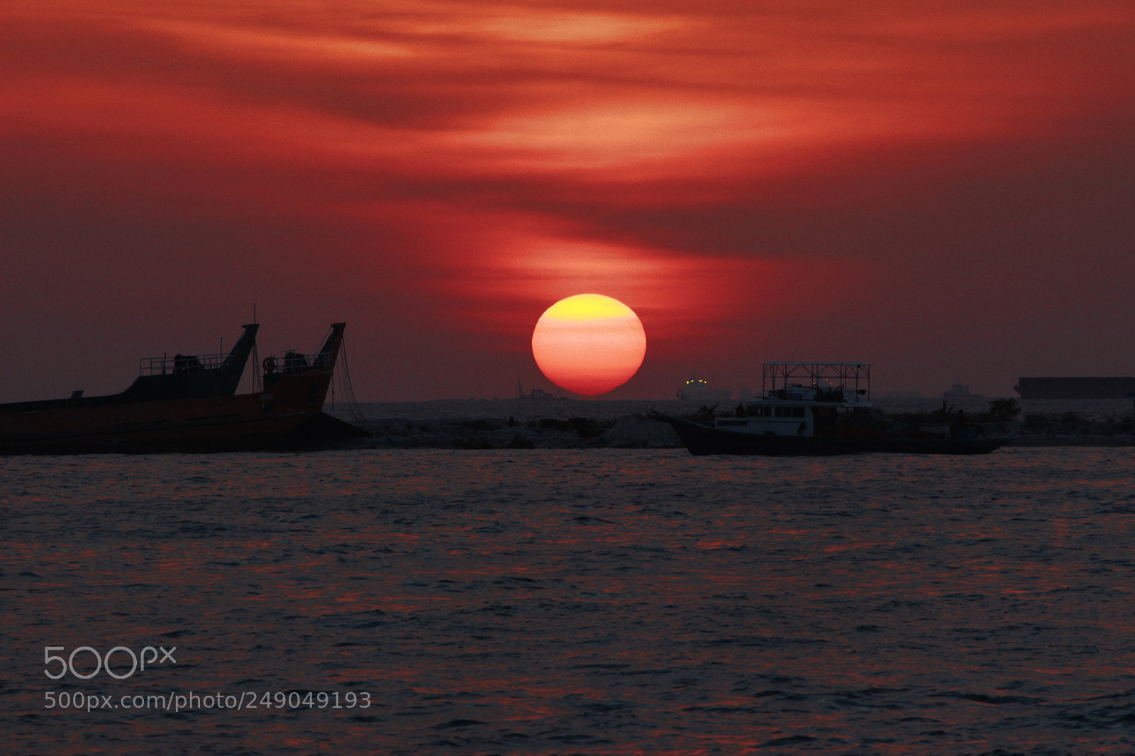 Canon EF-S 55-250mm F4-5.6 IS II sample photo. Mg photography