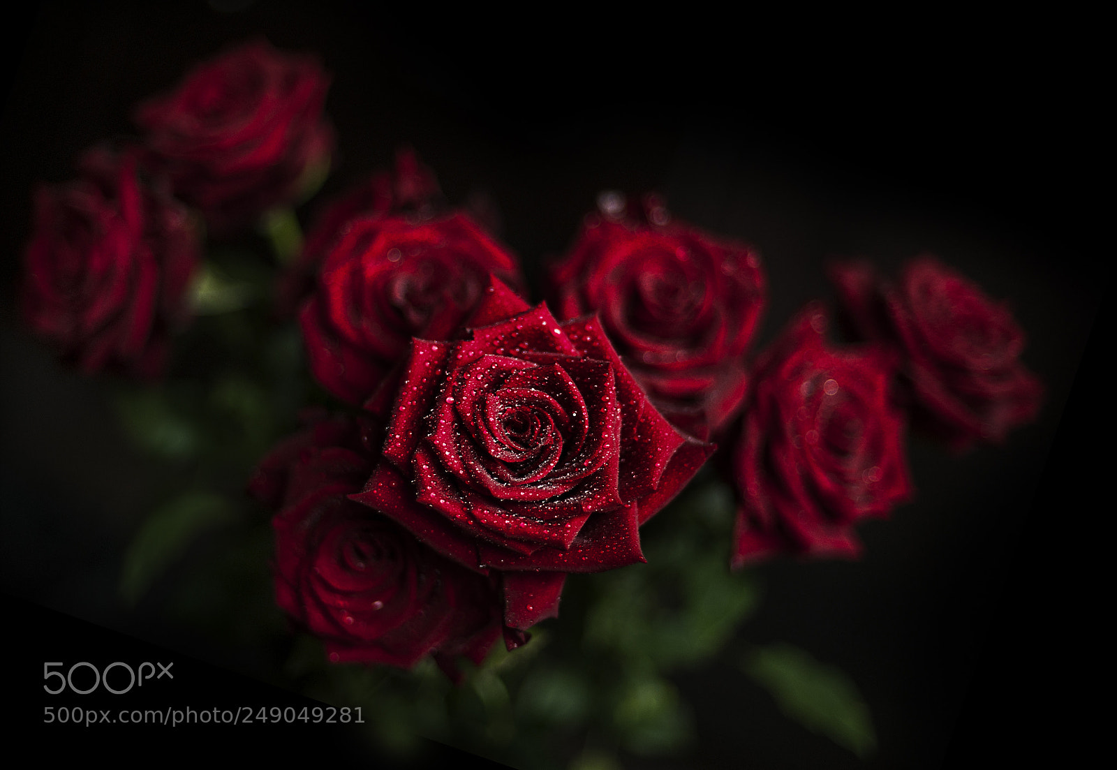 Nikon D700 sample photo. ... photography