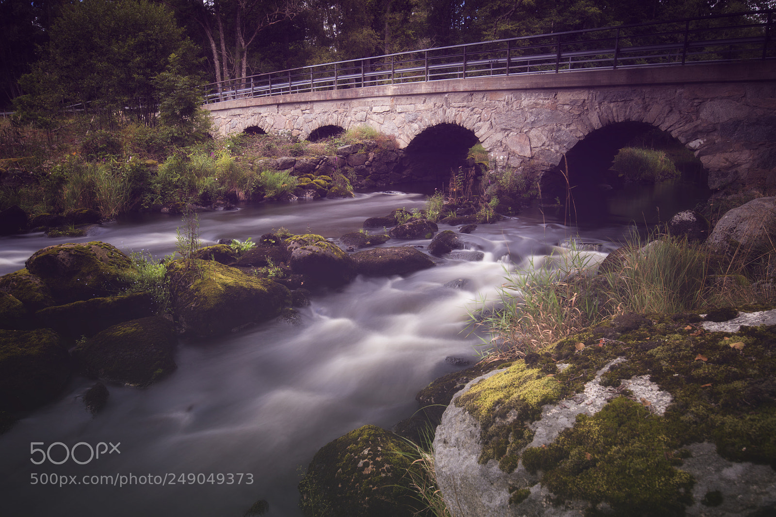 Nikon D500 sample photo. Dreamy bridge photography