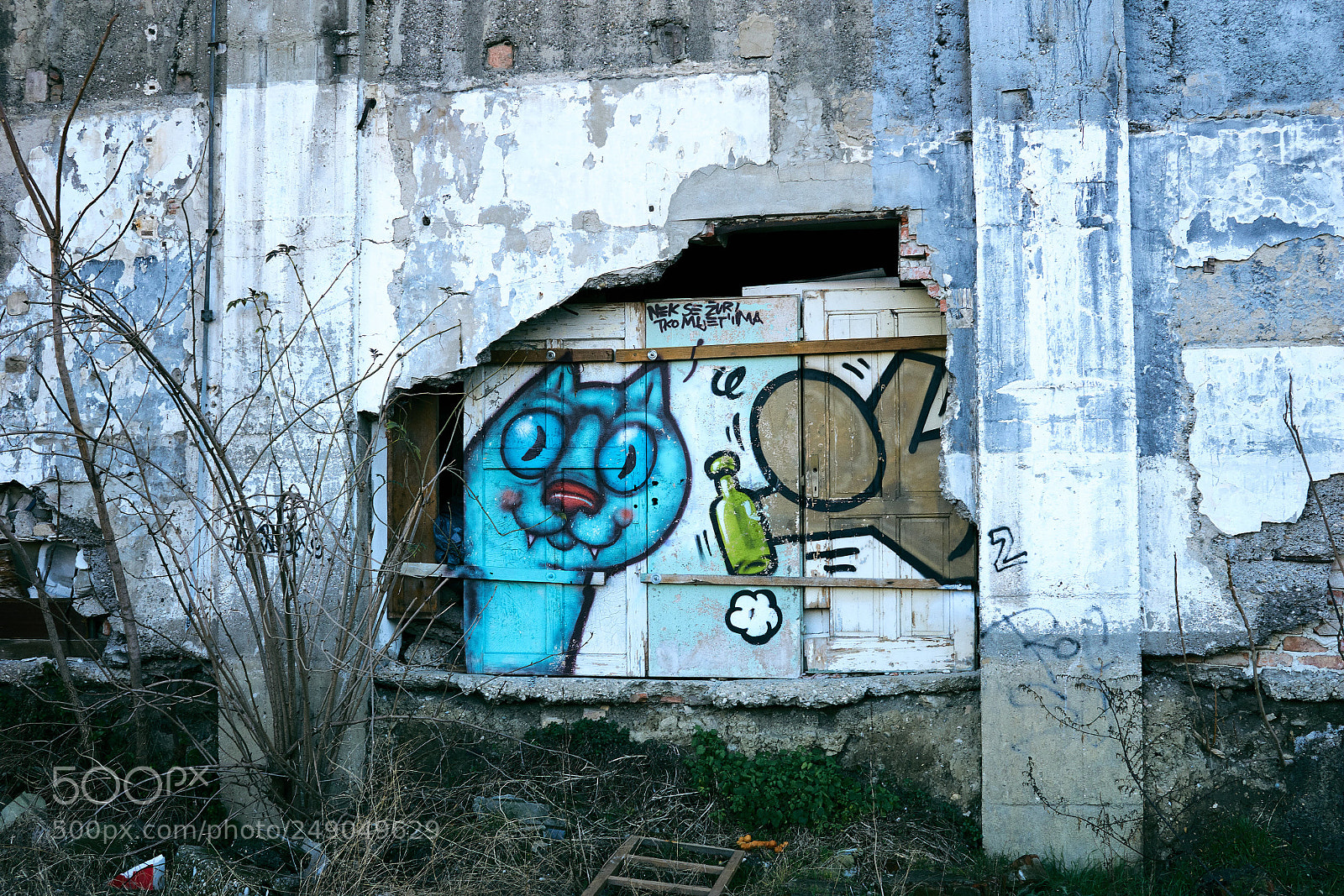 Sony a6000 sample photo. Graffiti photography