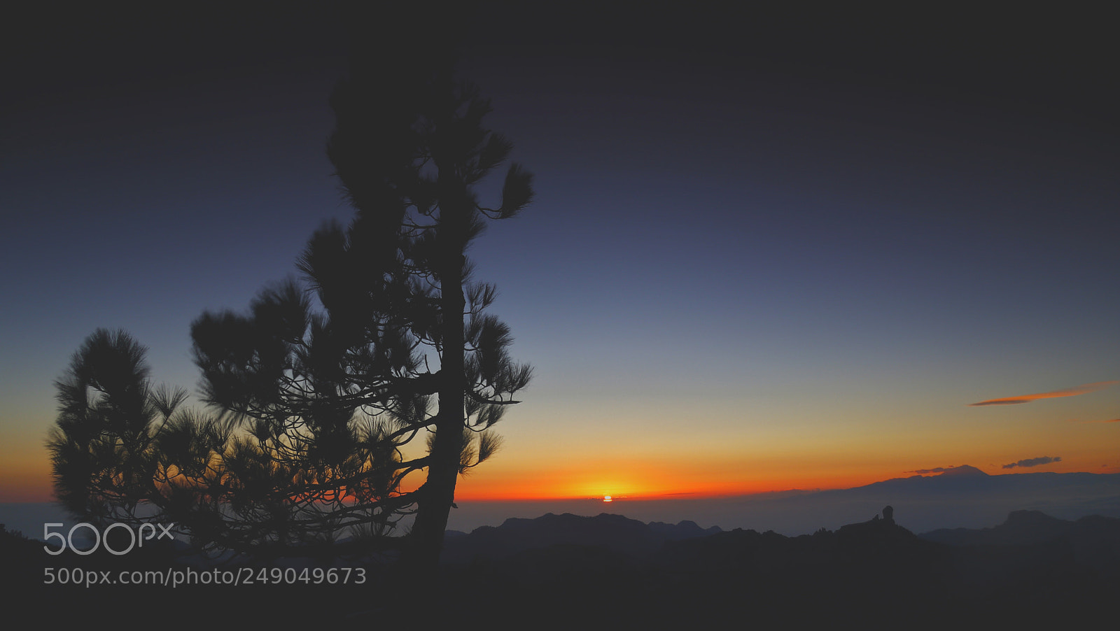 Canon EOS 80D sample photo. Morning has broken photography
