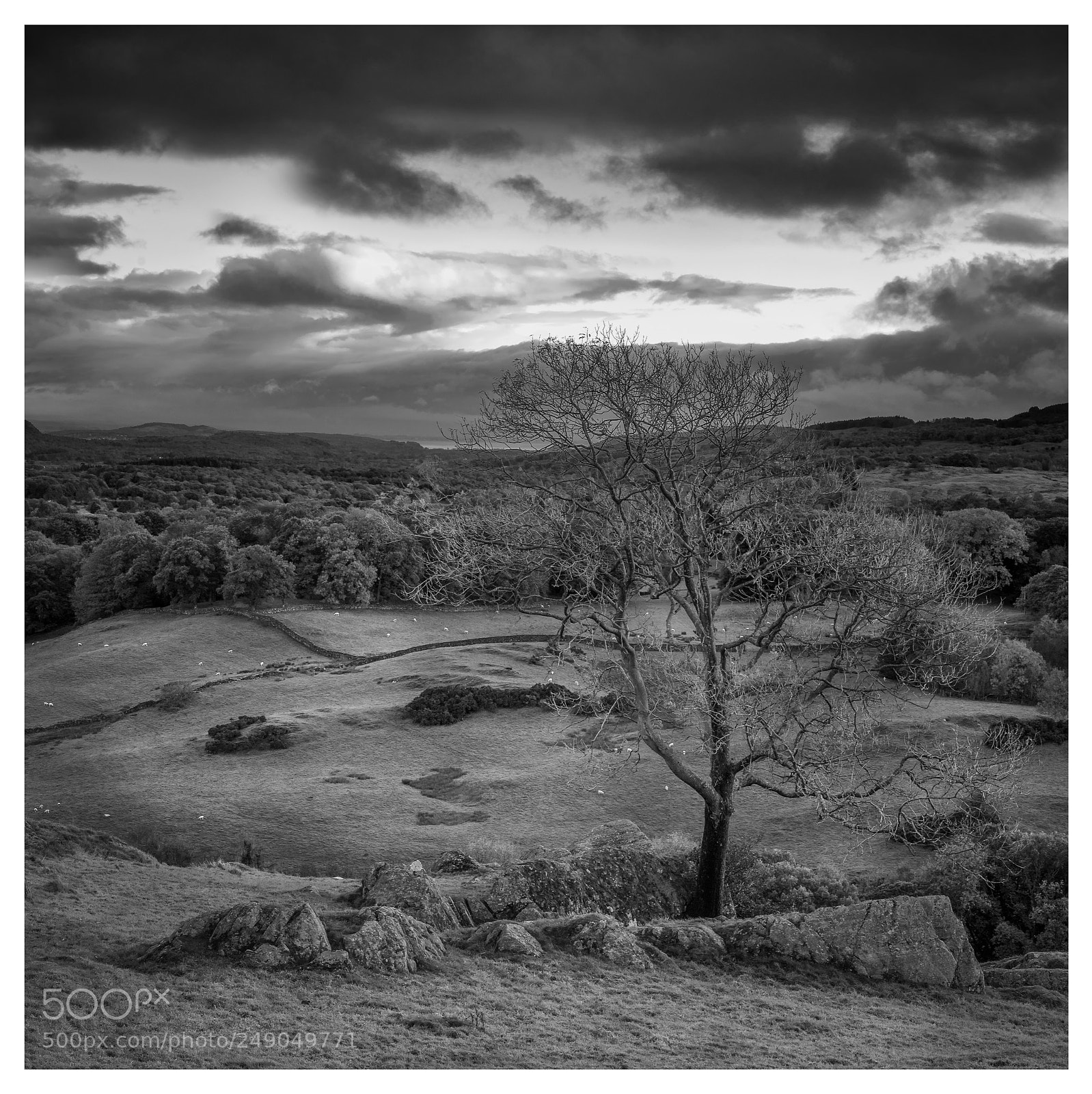 Sony a7 II sample photo. From windermere to coniston photography