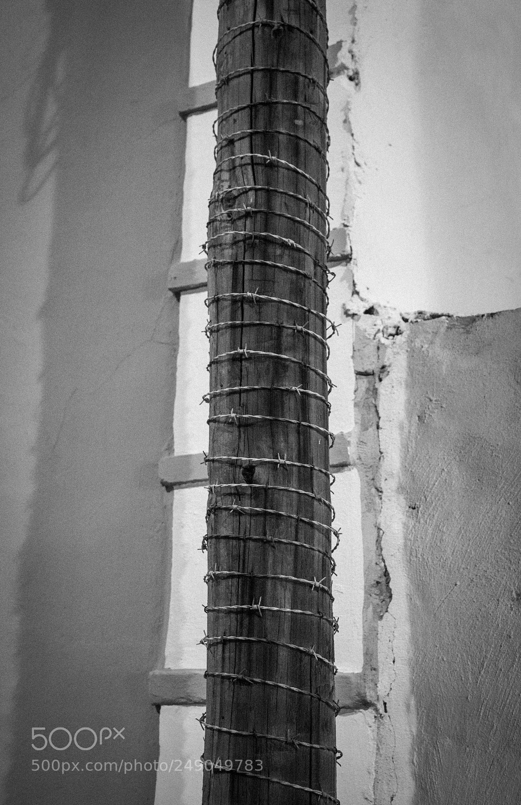 Nikon D7100 sample photo. Filospinato photography