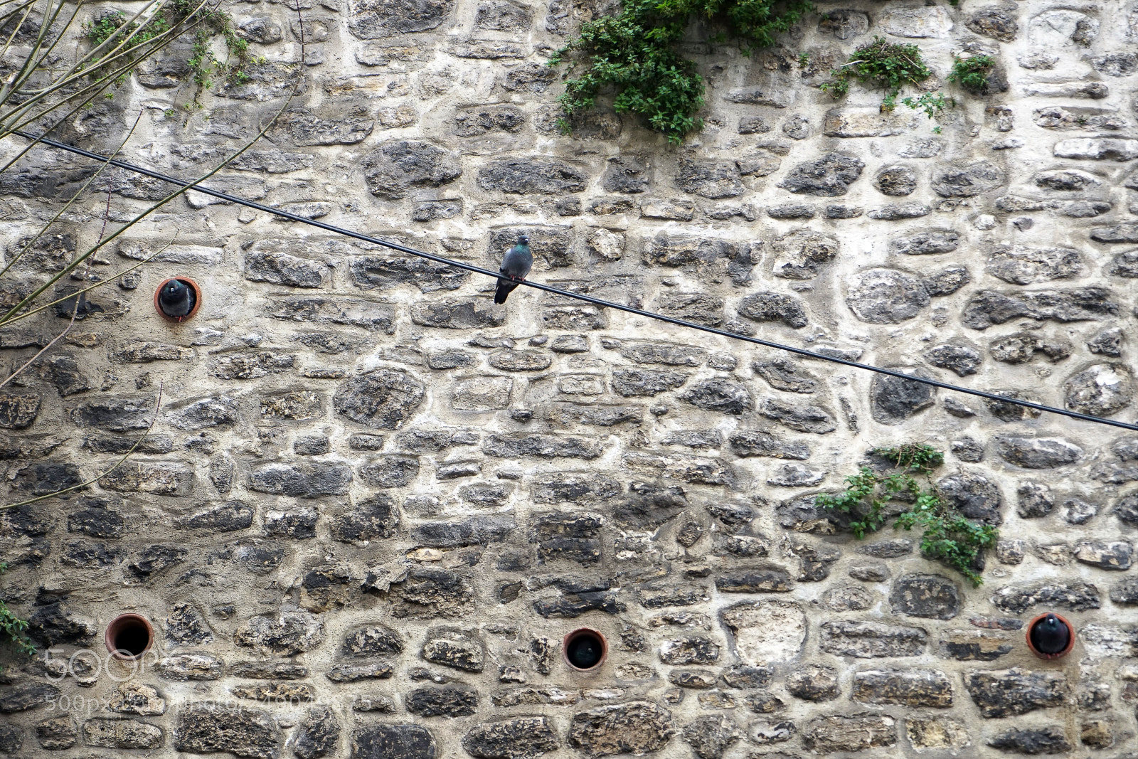 Sony a7 sample photo. Zerafetin ve inceligin srmbolu photography