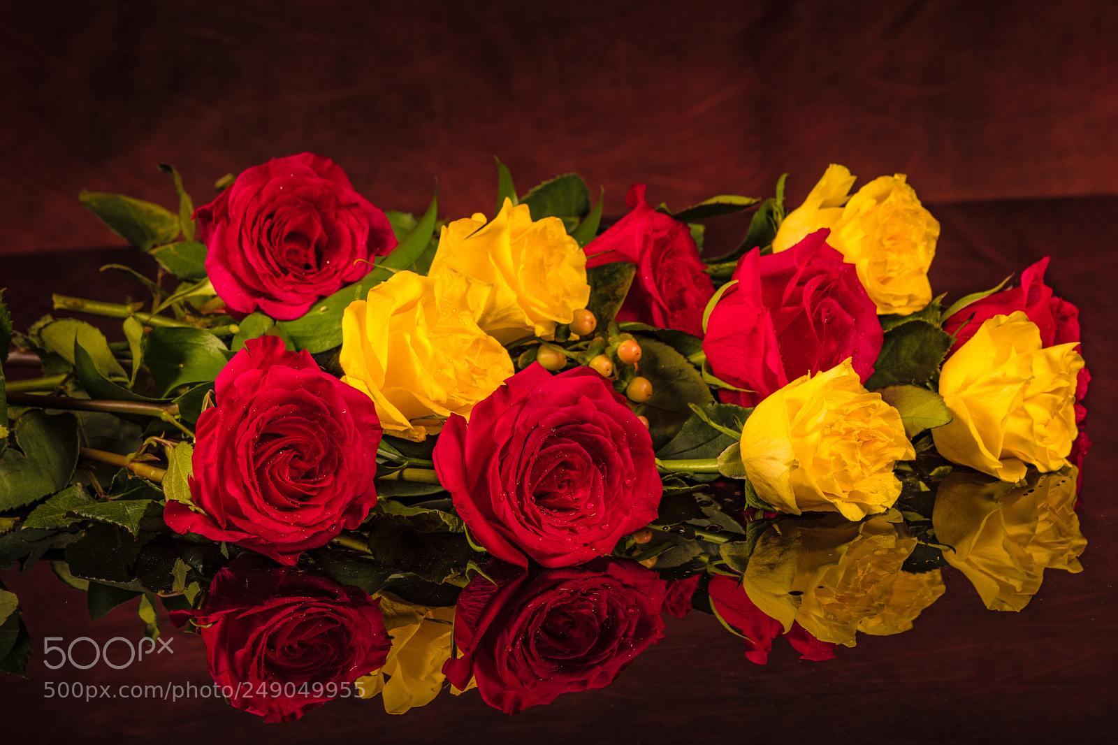 Canon EOS 5D Mark IV sample photo. Roses photography